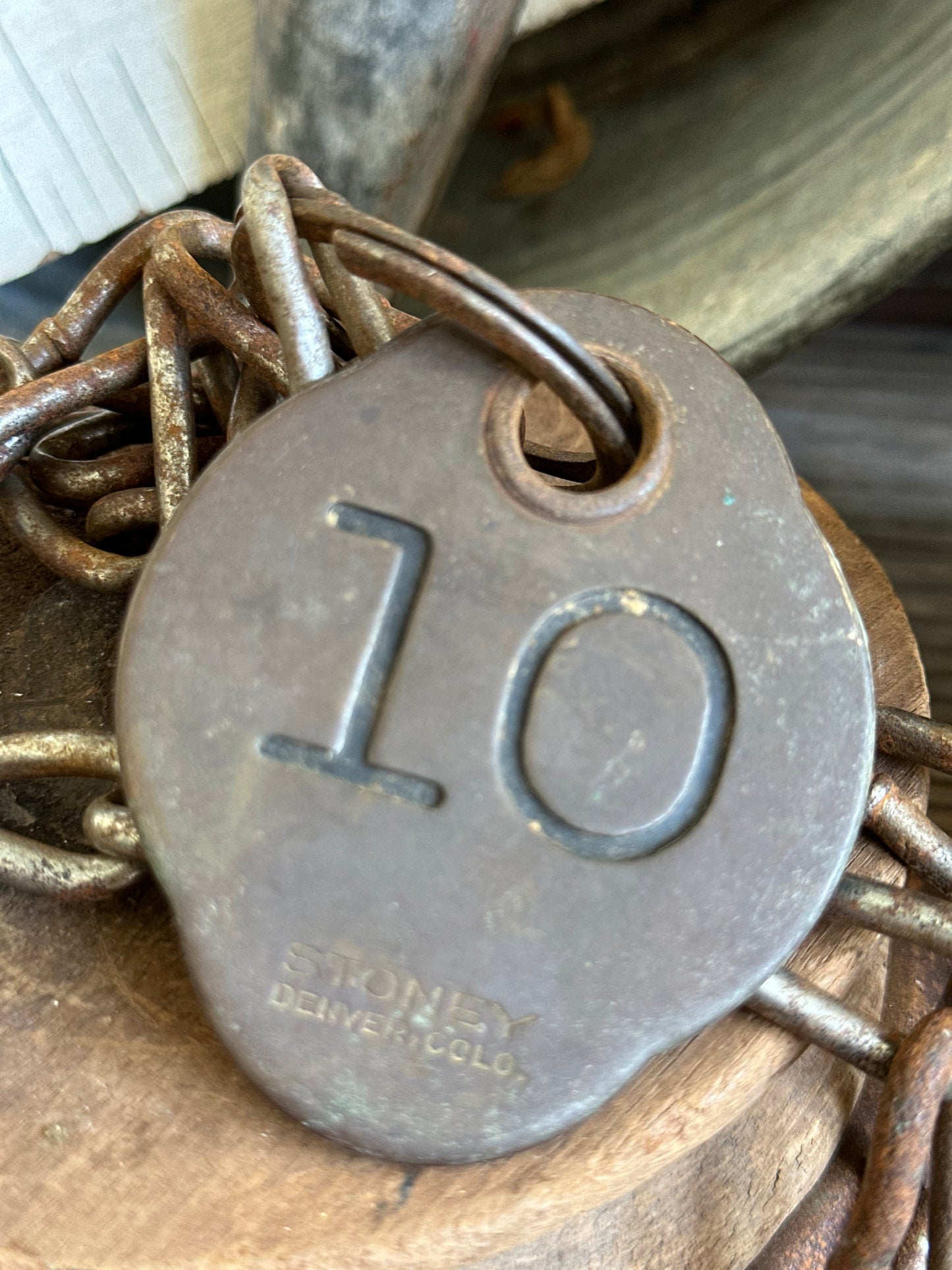 Cattle Tag With Chain #10