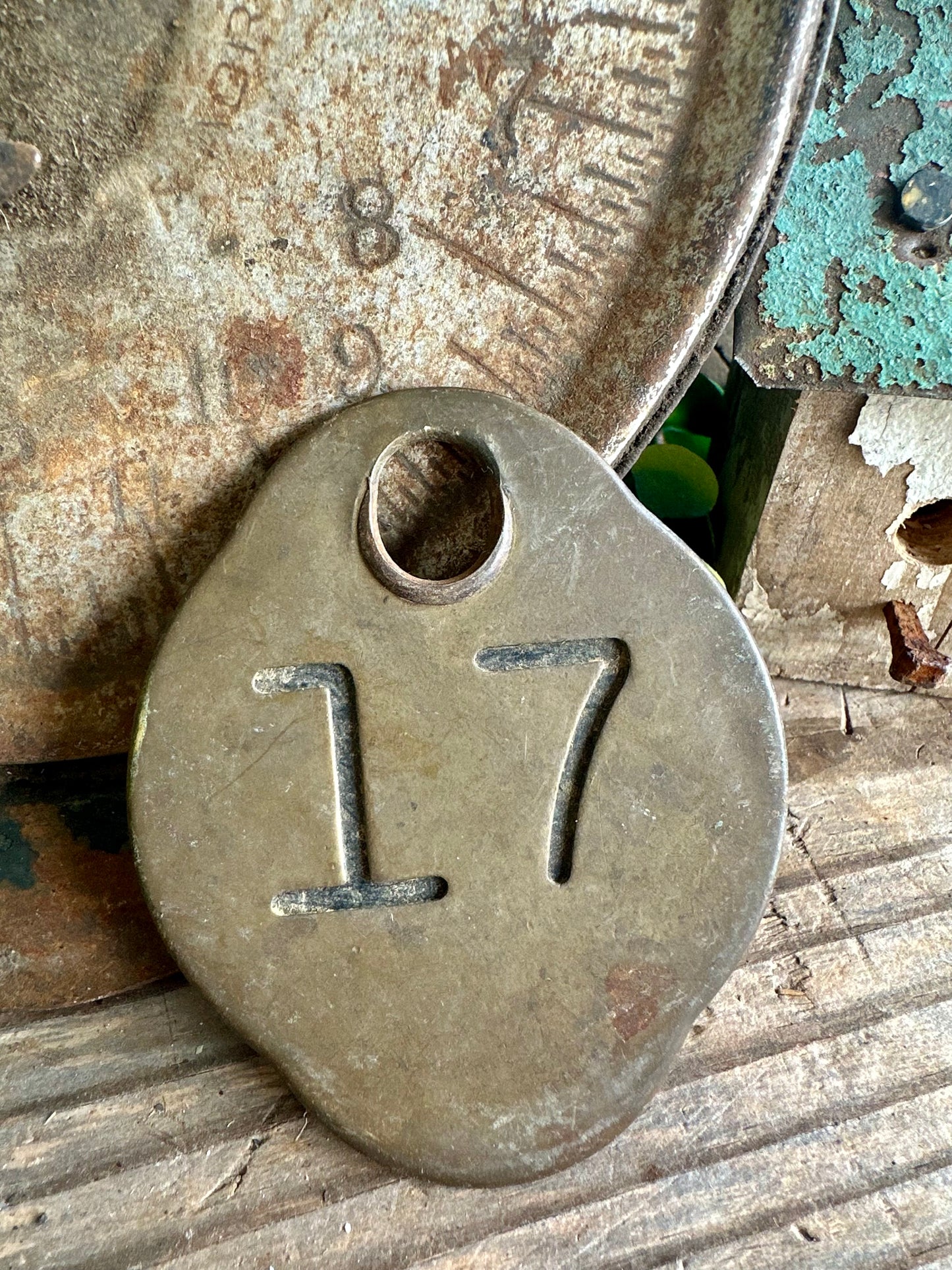 Cattle Tag Brass #17