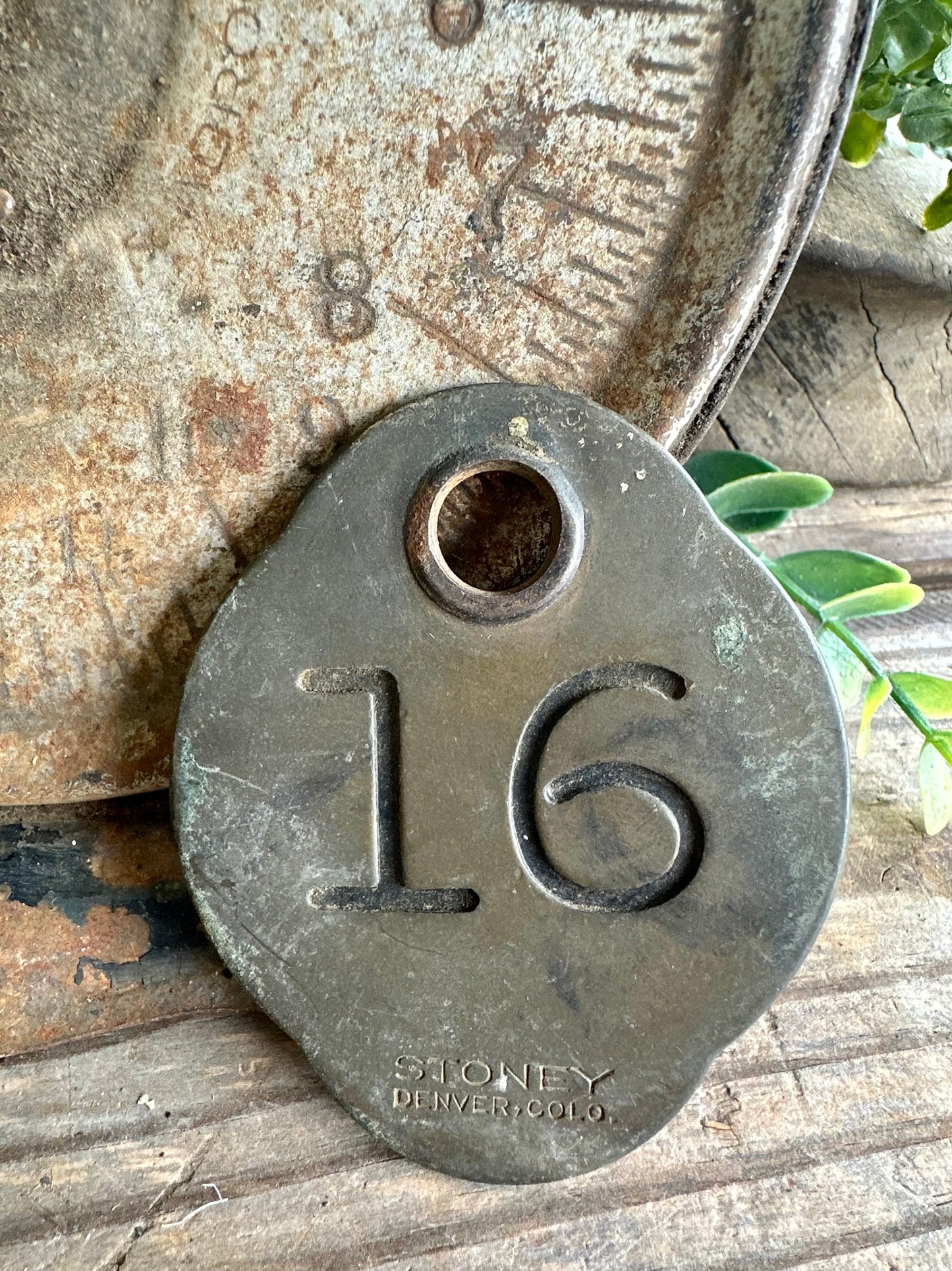 Cattle Tag Brass #16