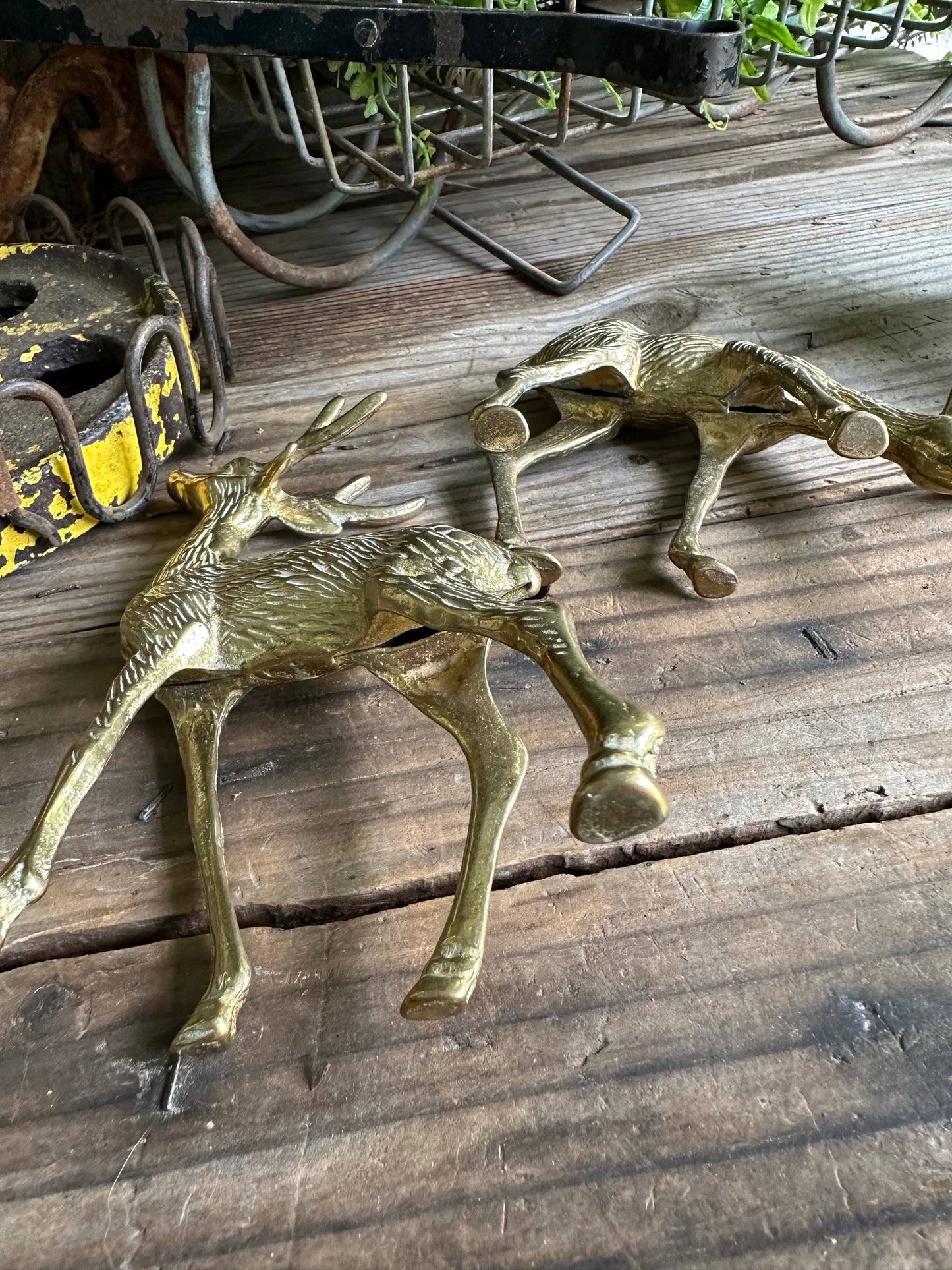 Brass Deer Set Of Two