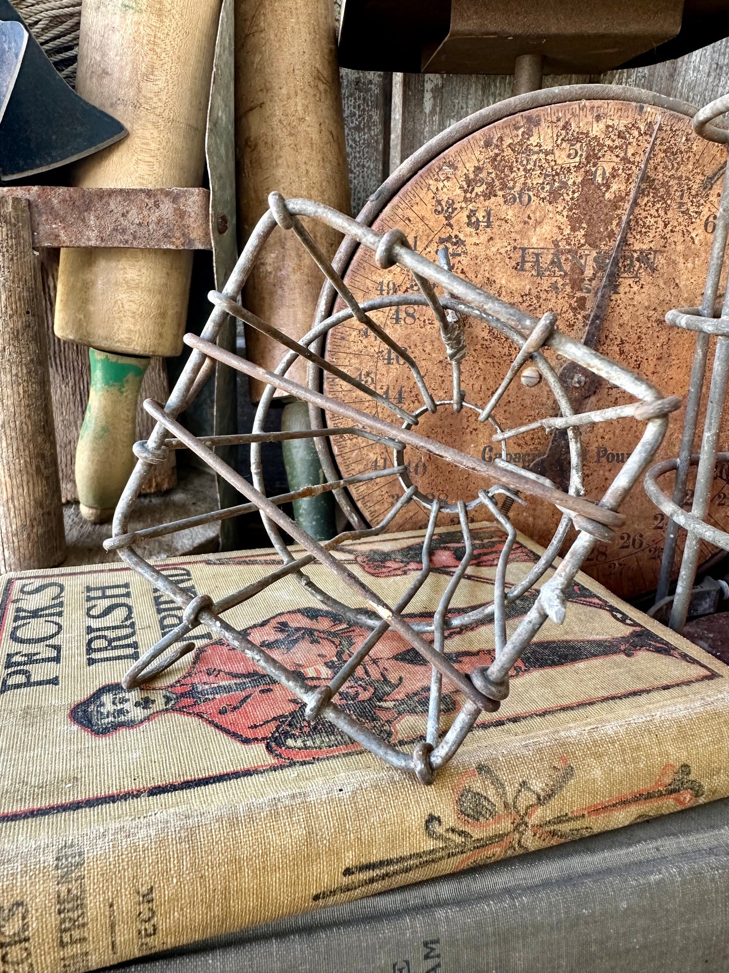 Light Cage Rusty Metal Wire