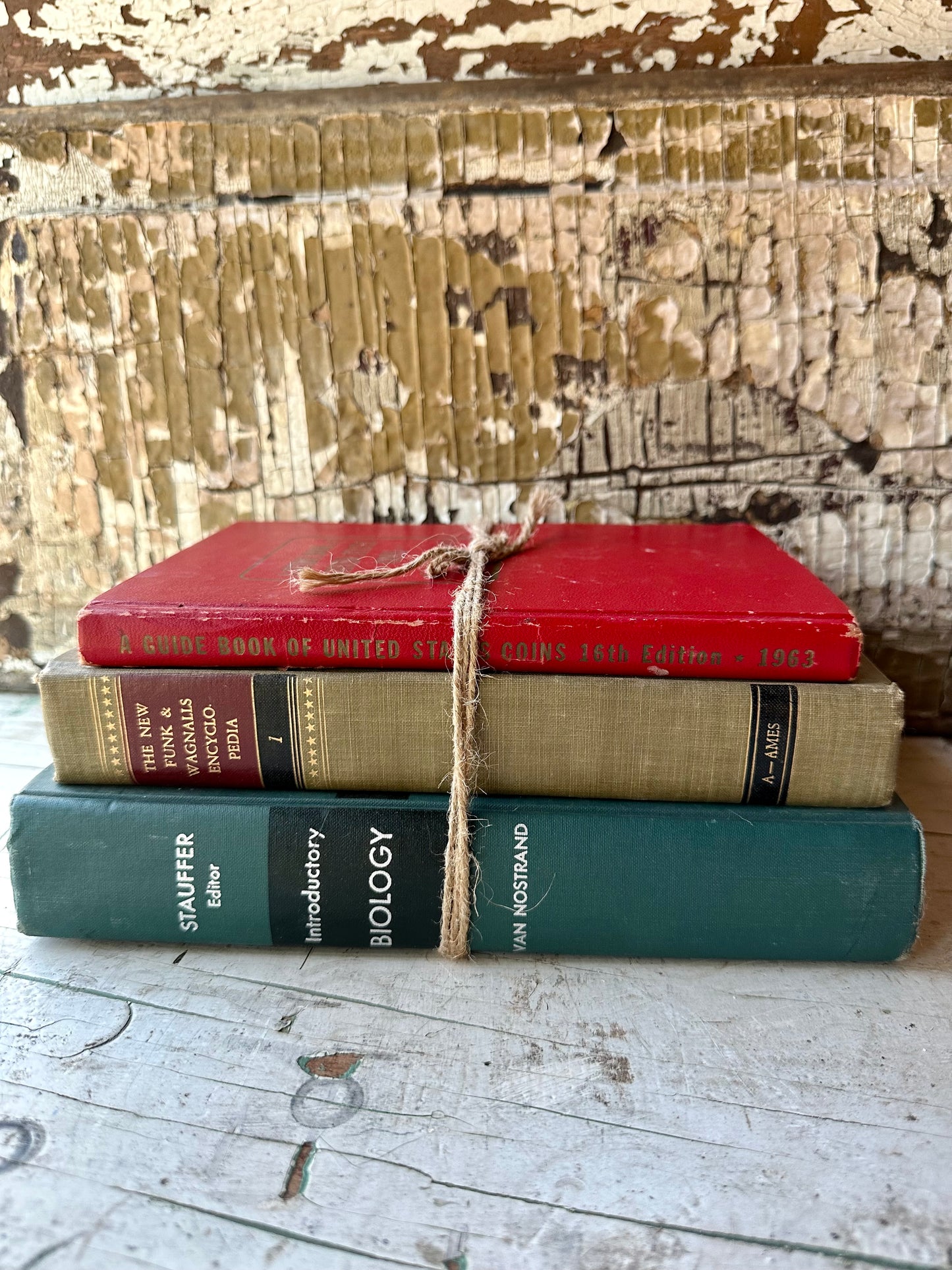 Book Stack Set of 3