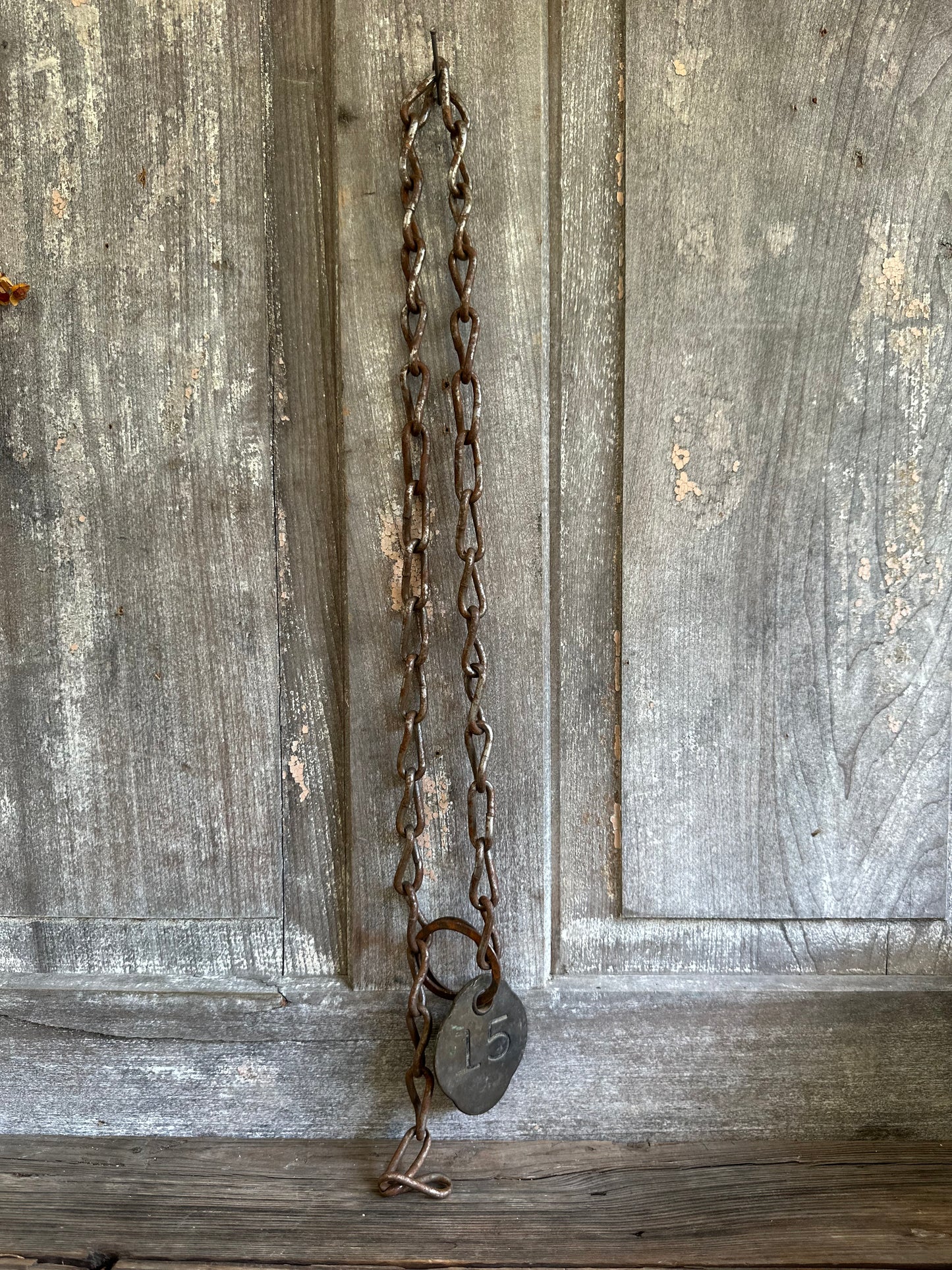 Cattle Tag With Chain #15