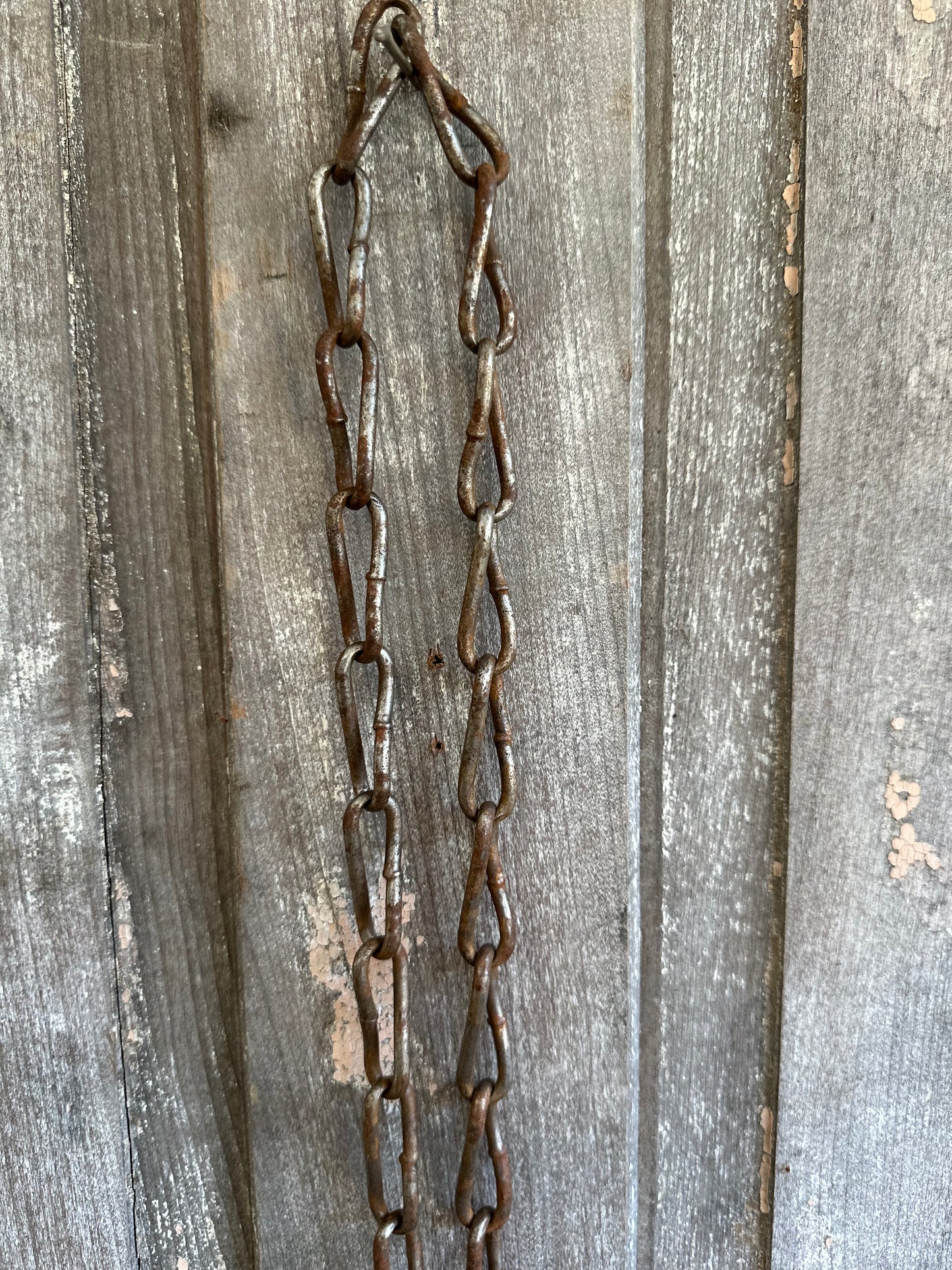 Cattle Tag With Chain #10