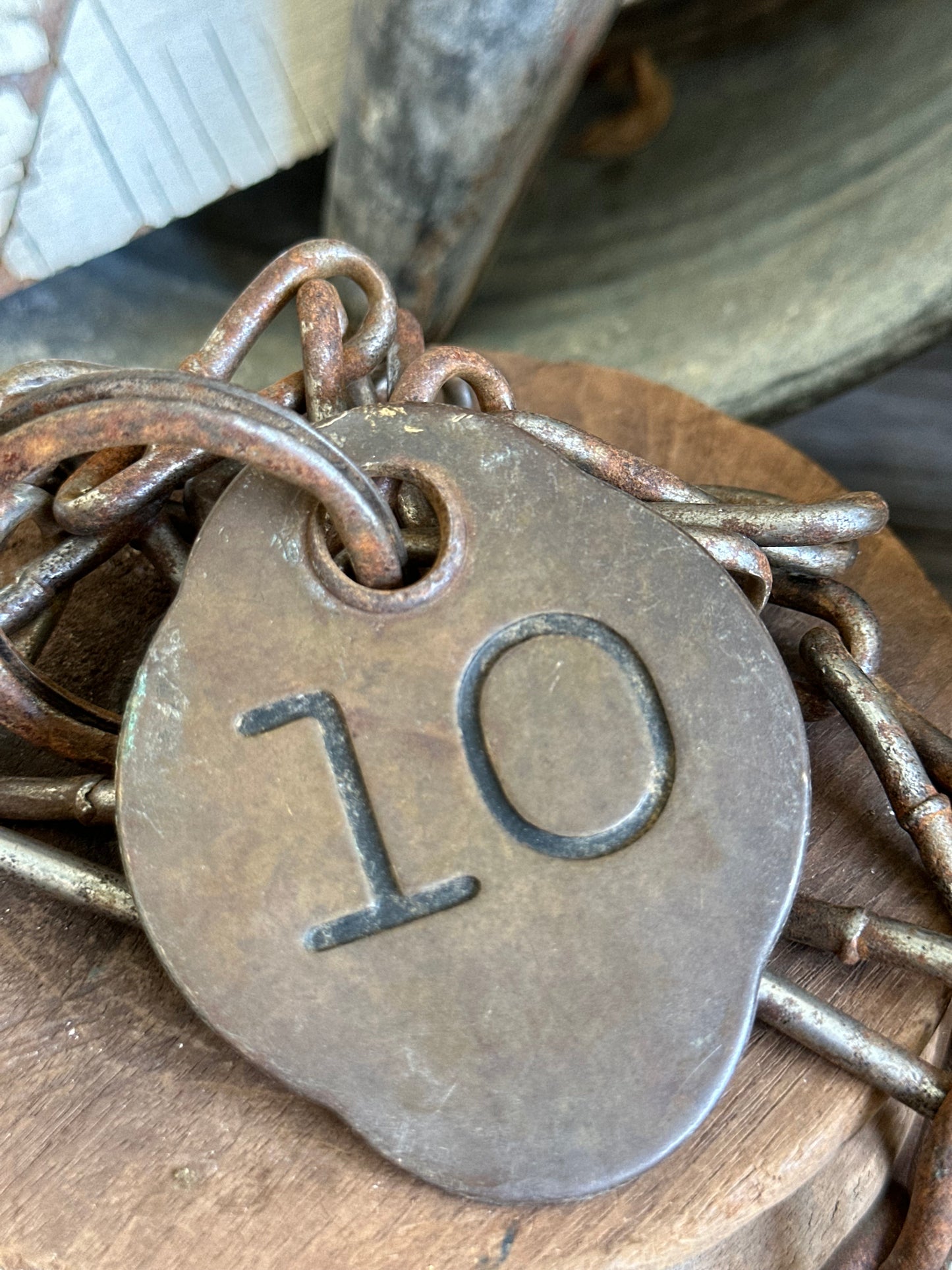 Cattle Tag With Chain #10