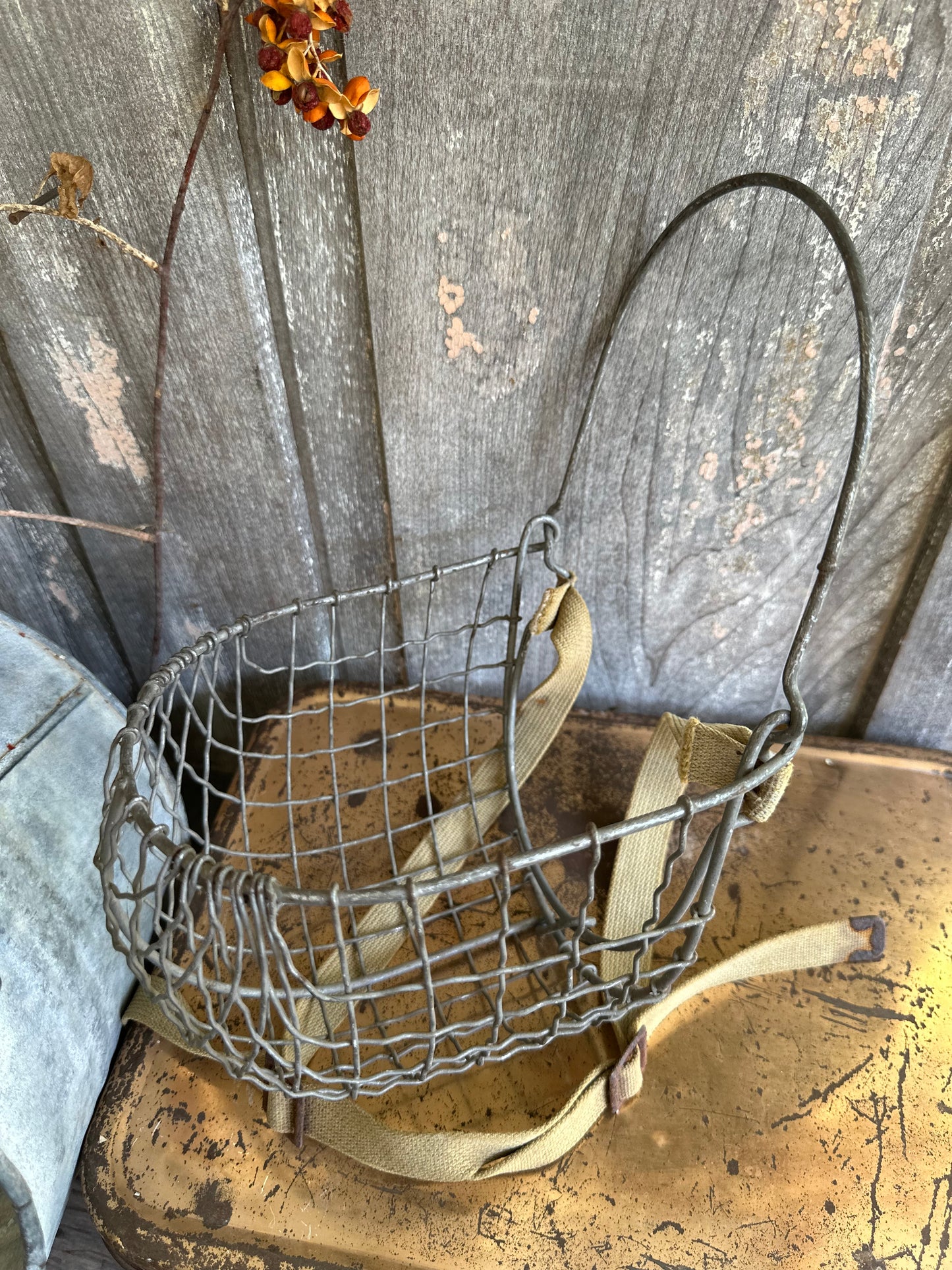 Metal Wire Muzzle With Strap