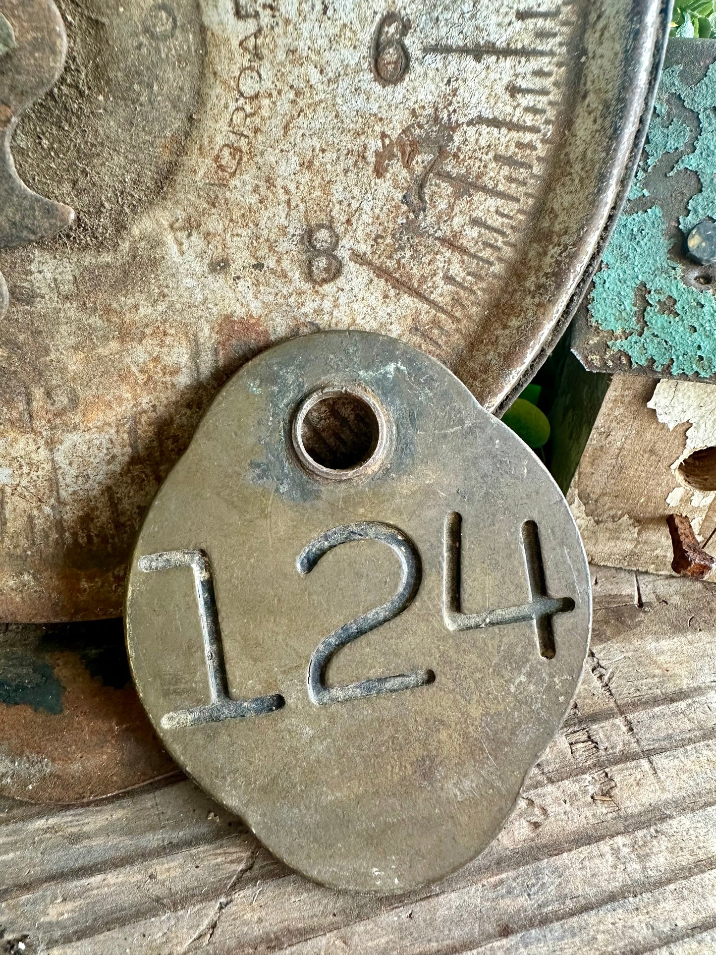 Cattle Tag Brass #124