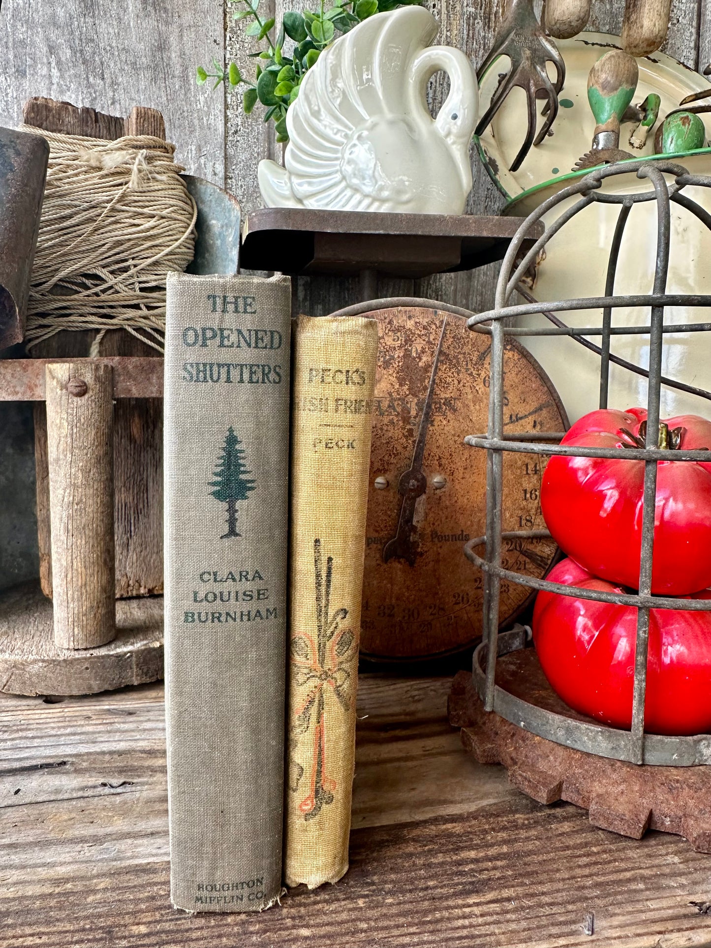 Books Set Of Two