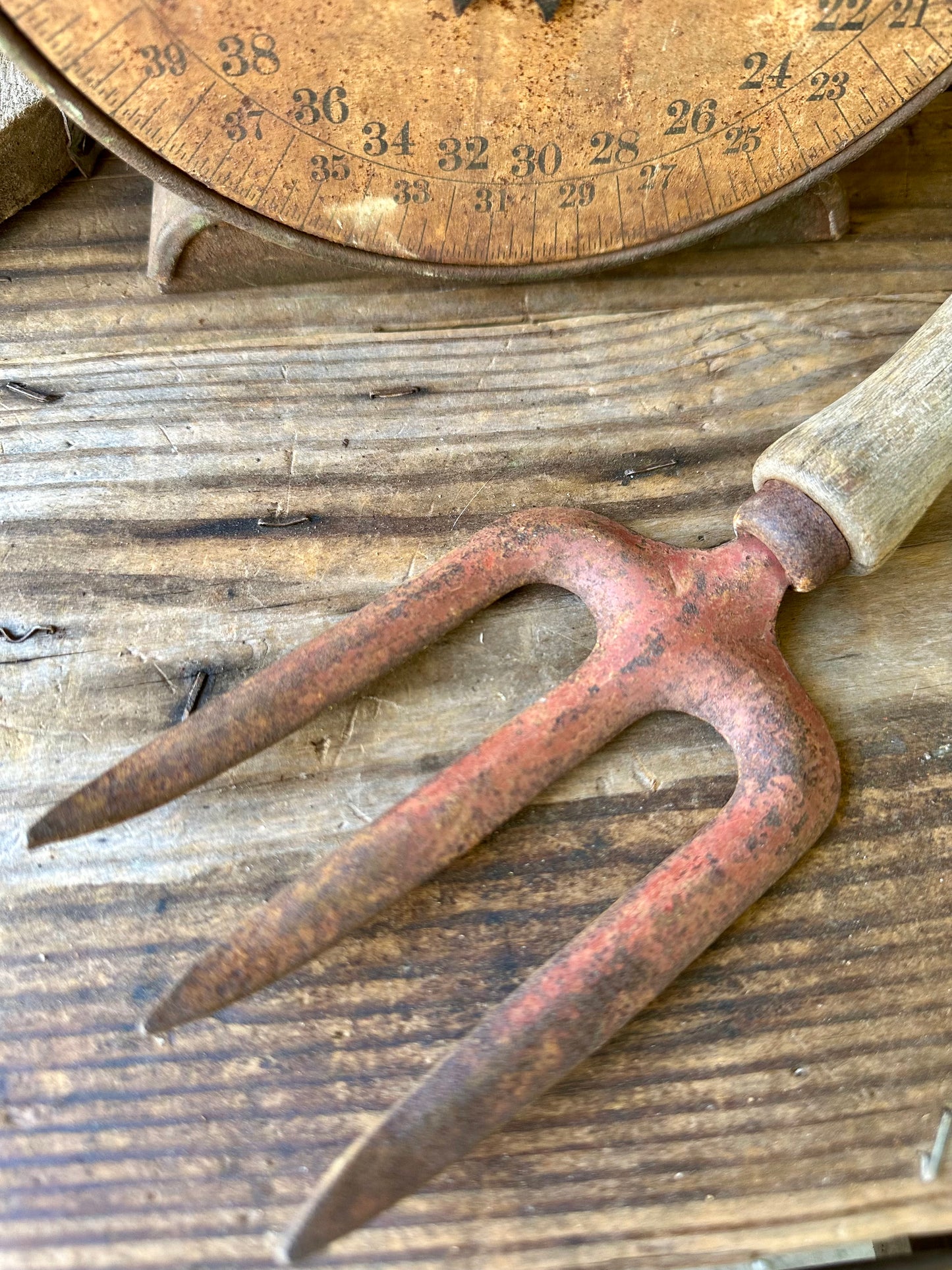 Garden Tool Fork