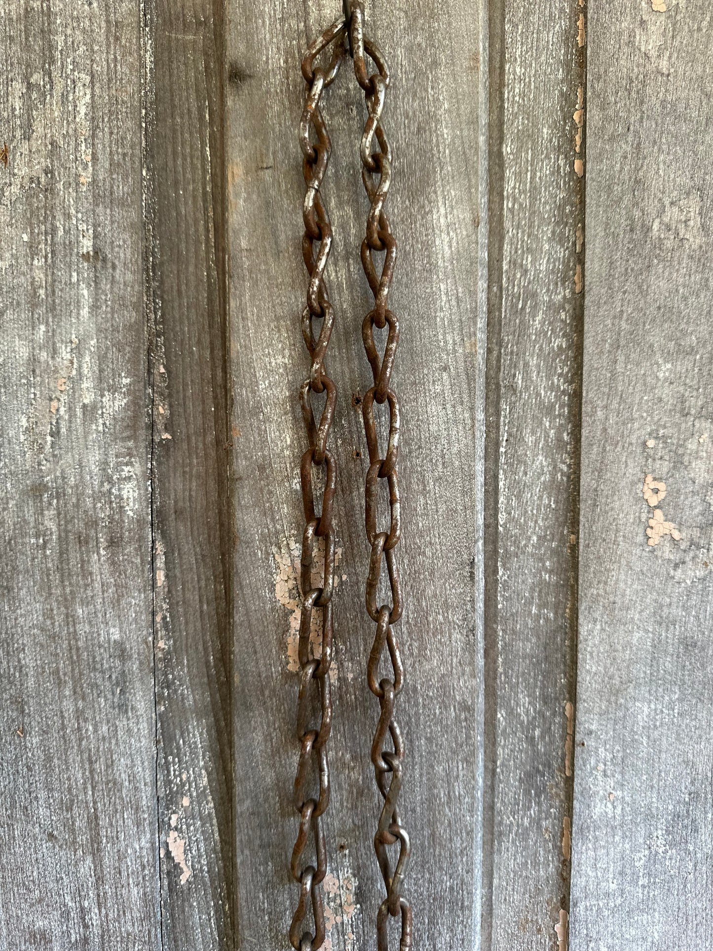 Cattle Tag With Chain #15