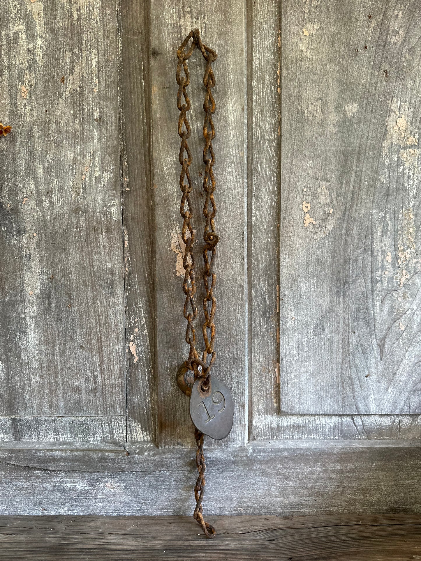 Cattle Tag With Rusty Chain #19