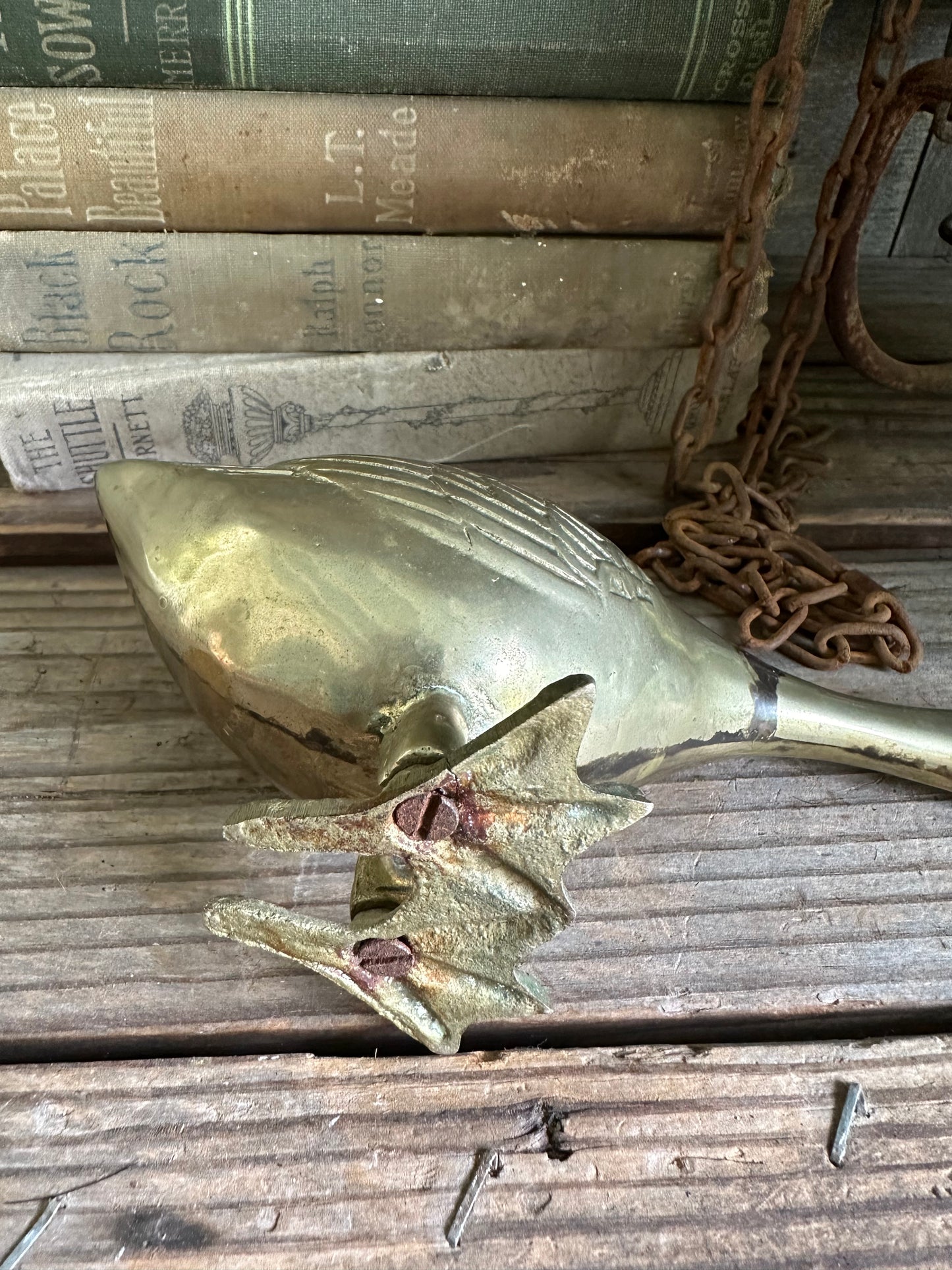 Brass Duck