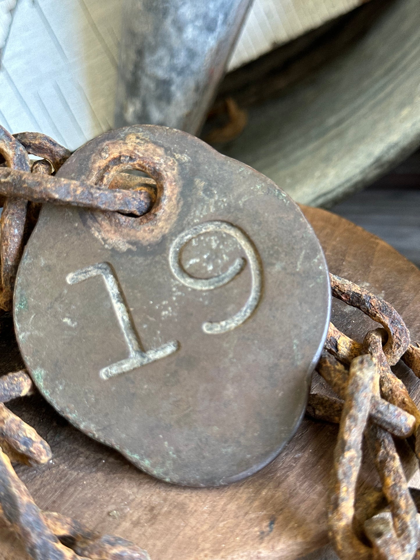 Cattle Tag With Rusty Chain #19