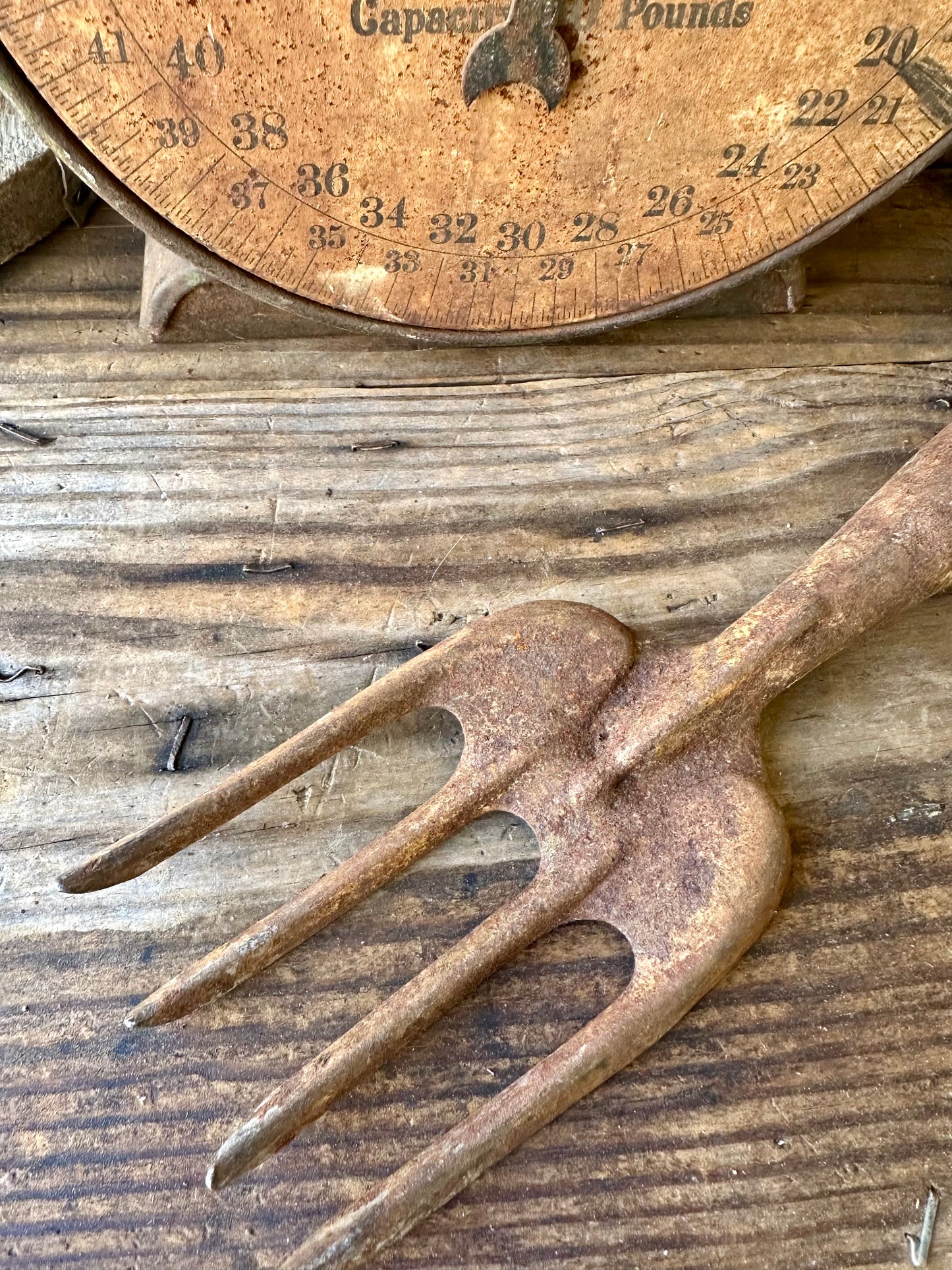 Garden Tool Rusty Metal Fork