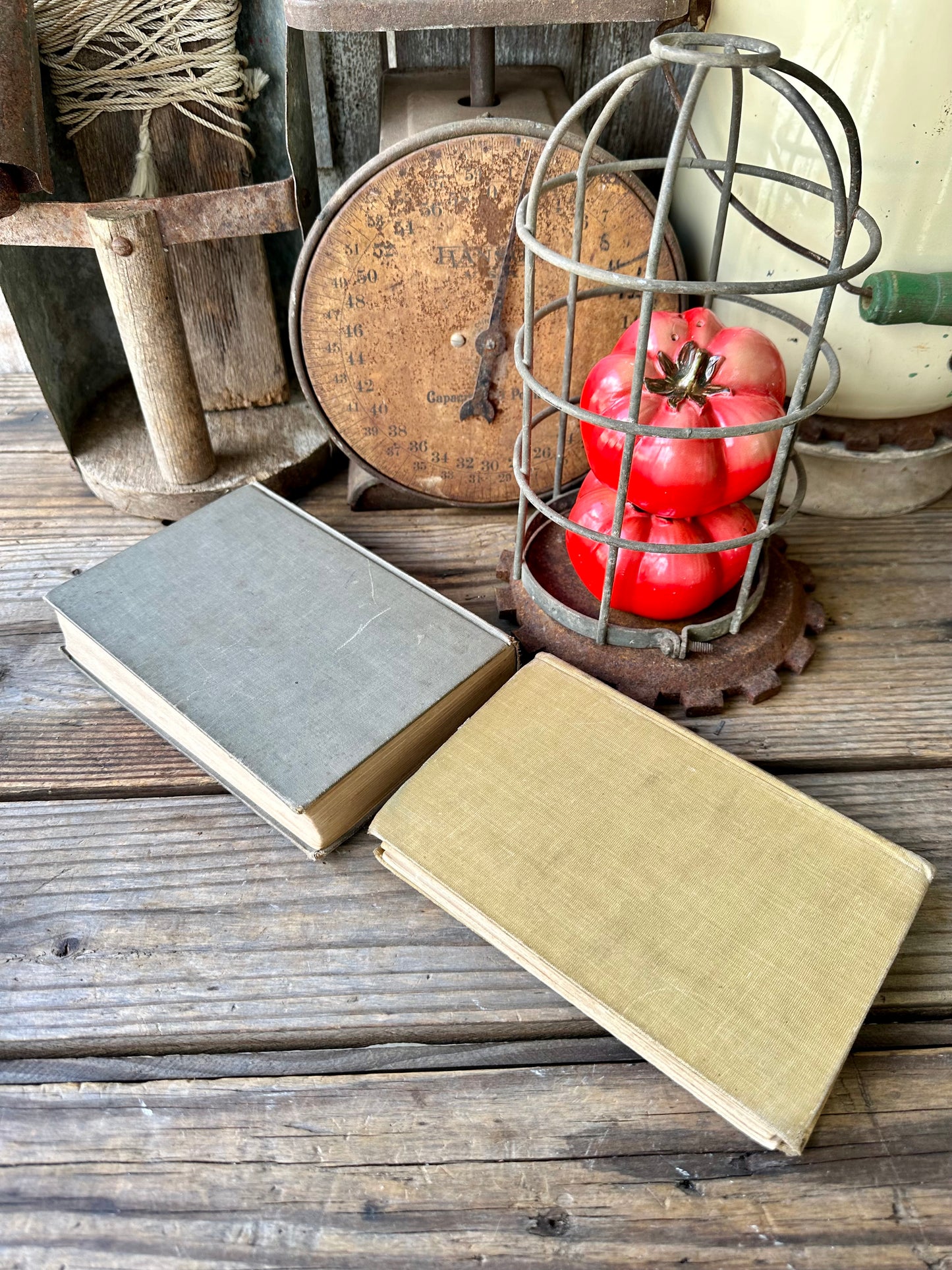 Books Set Of Two