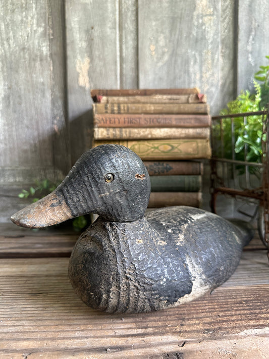 Duck Decoy