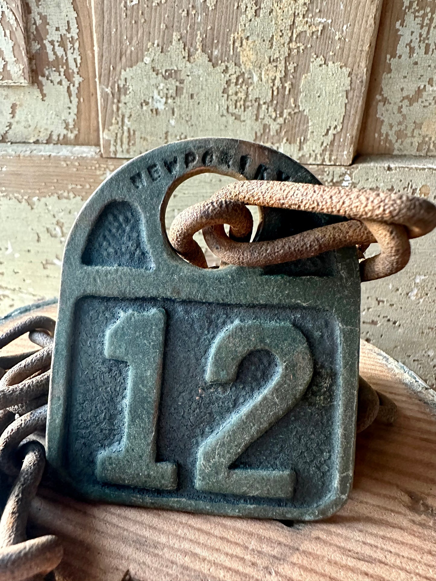 Cattle Tag With Chain #12