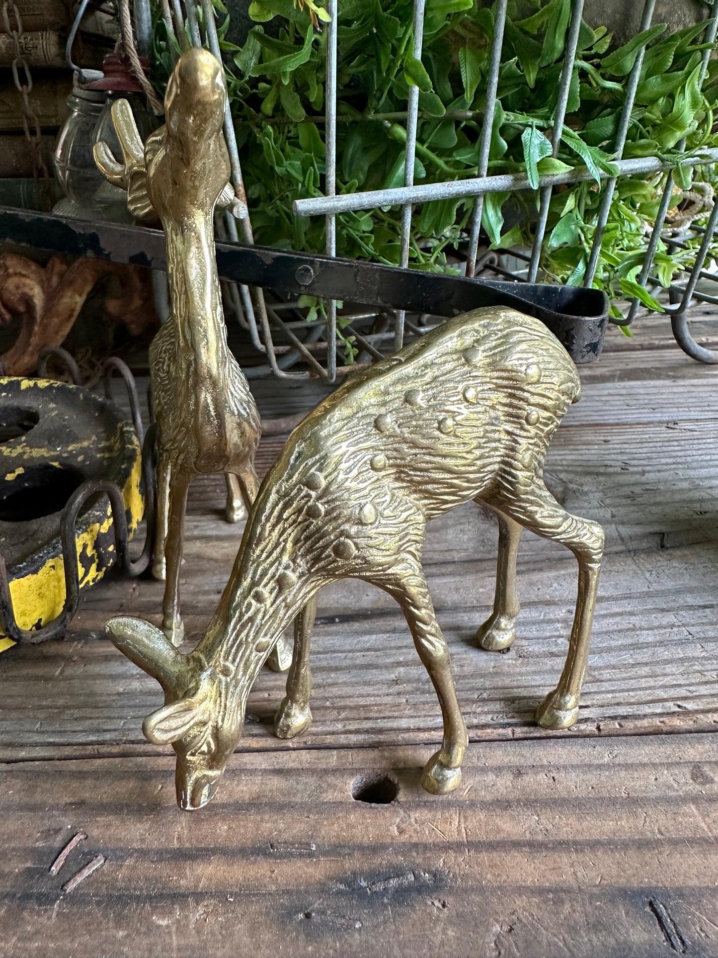 Brass Deer Set Of Two