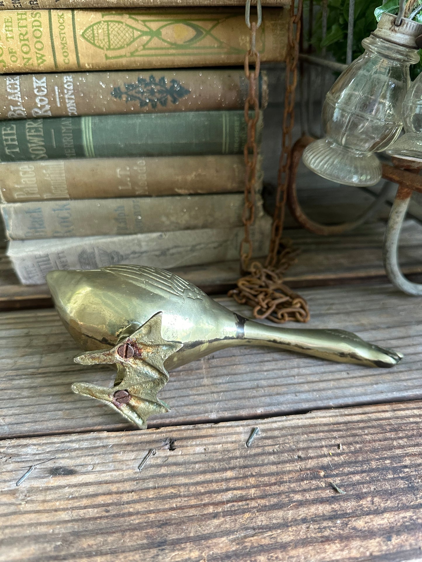 Brass Duck