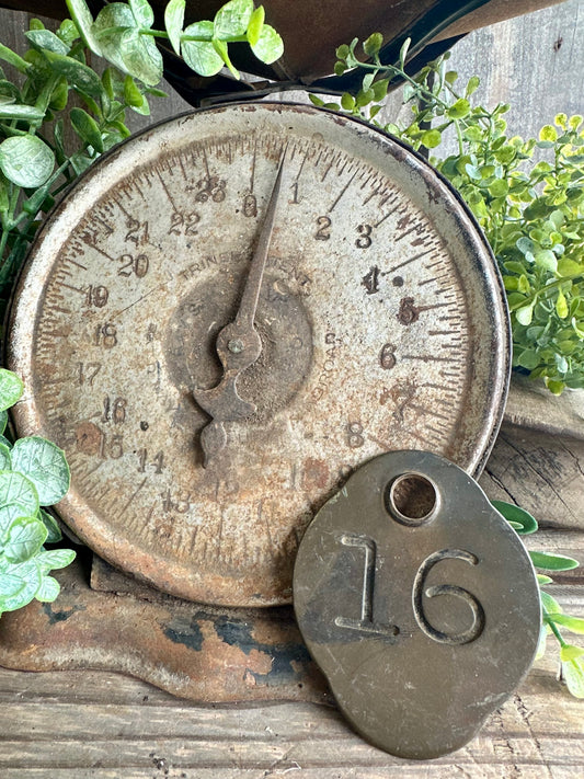 Cattle Tag Brass #16