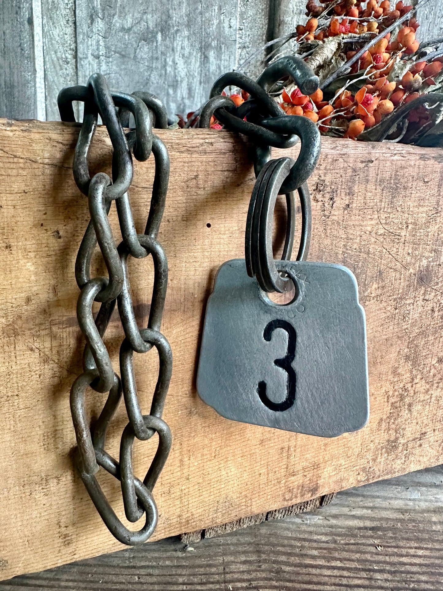 Cattle Tag With Rusty Metal Chain #3