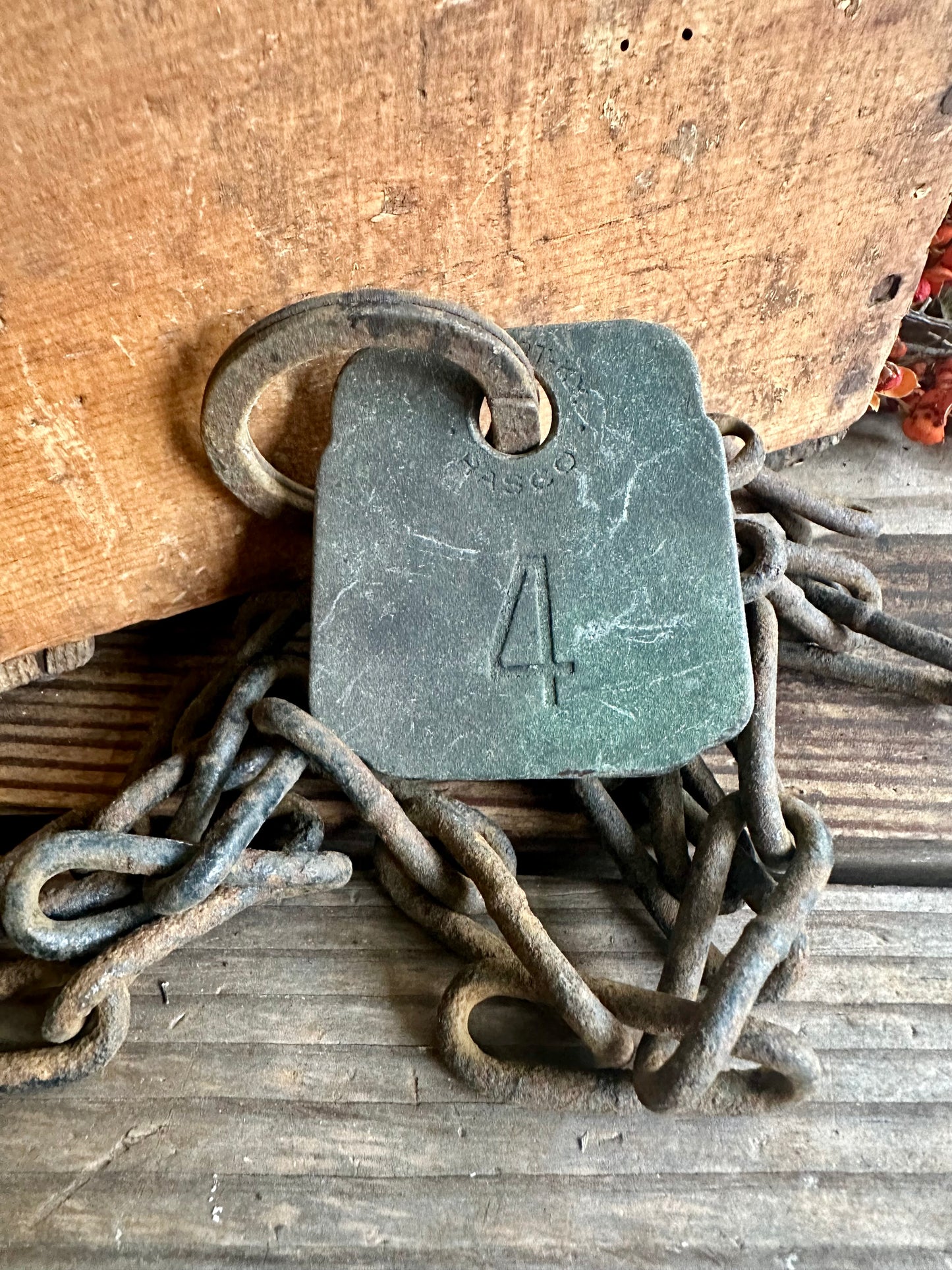 Cattle Tag With Rusty Chain #4