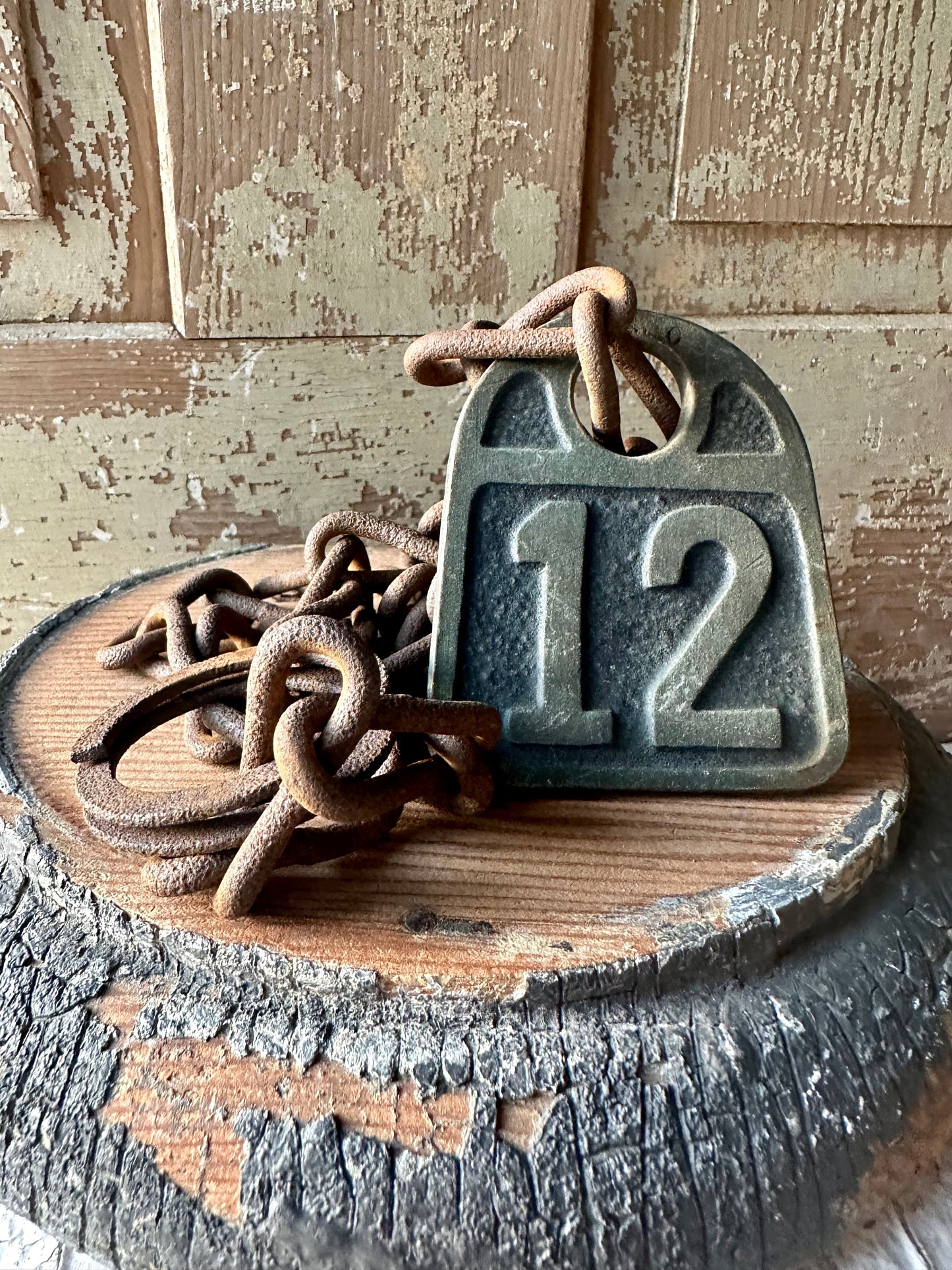 Cattle Tag With Chain #12