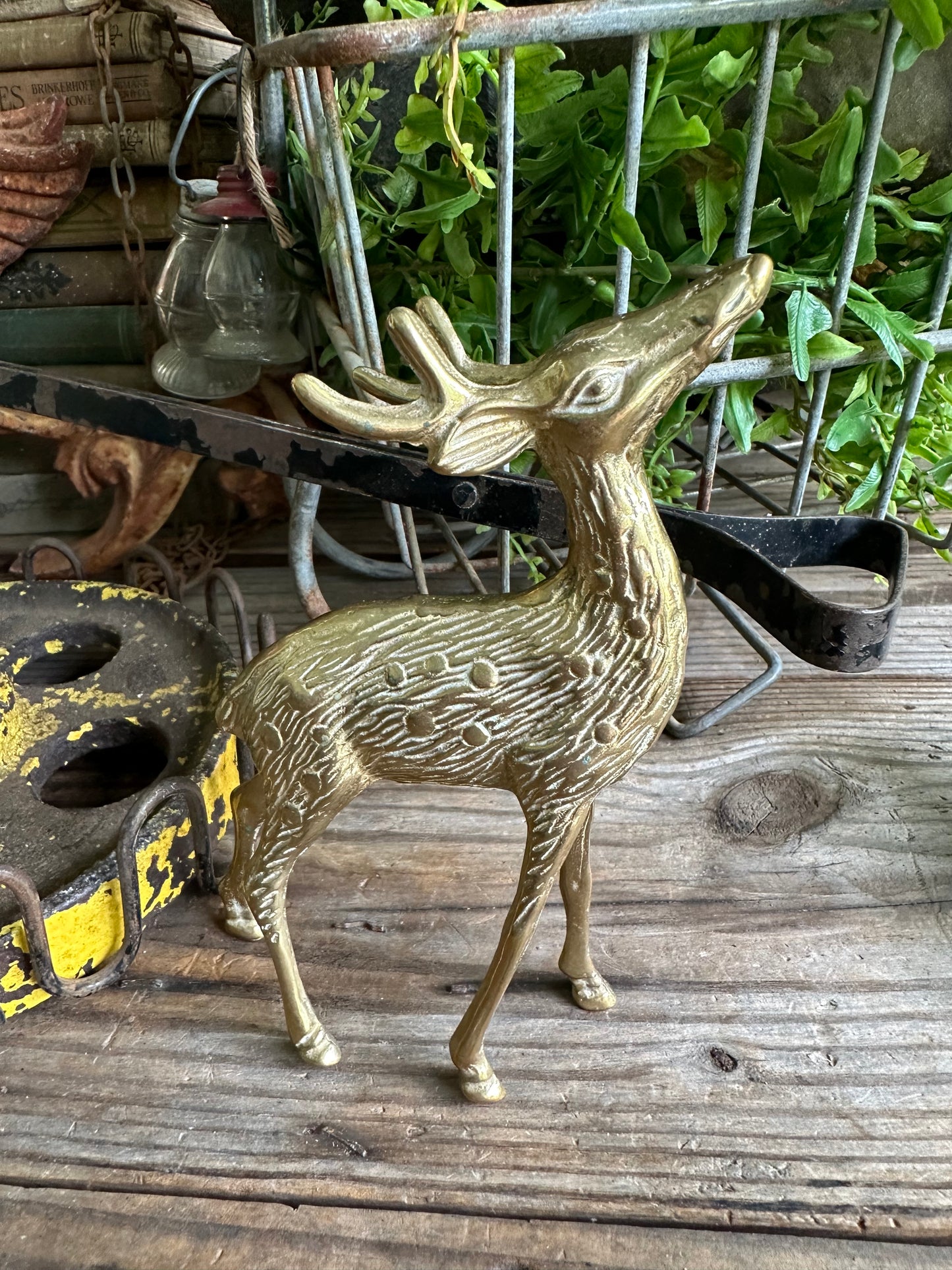 Brass Deer Set Of Two