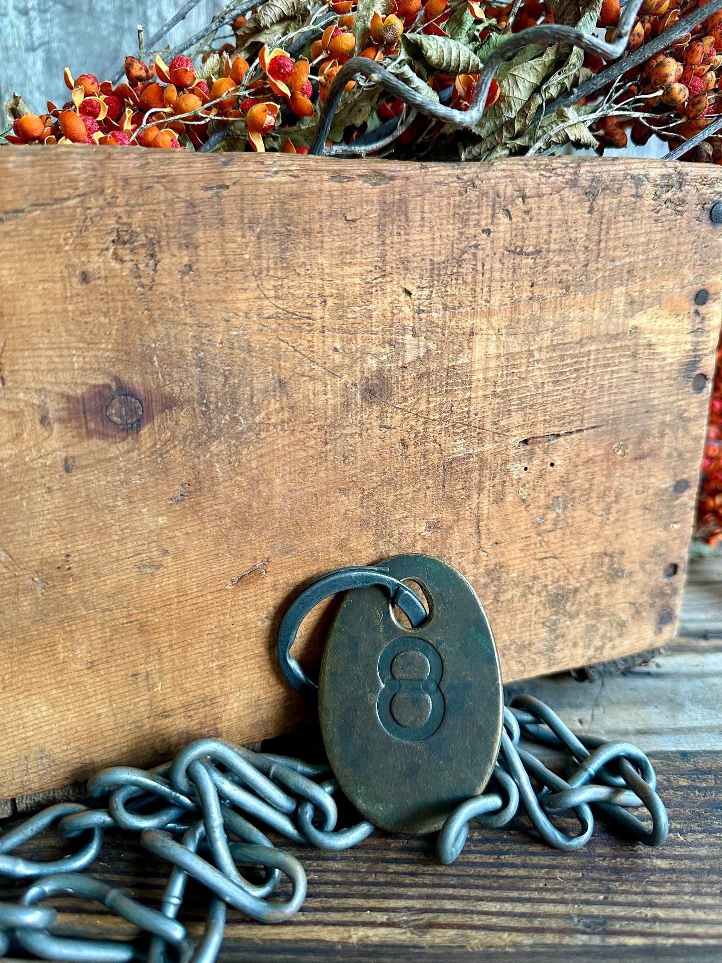 Cattle Brass Tag With Chain #8