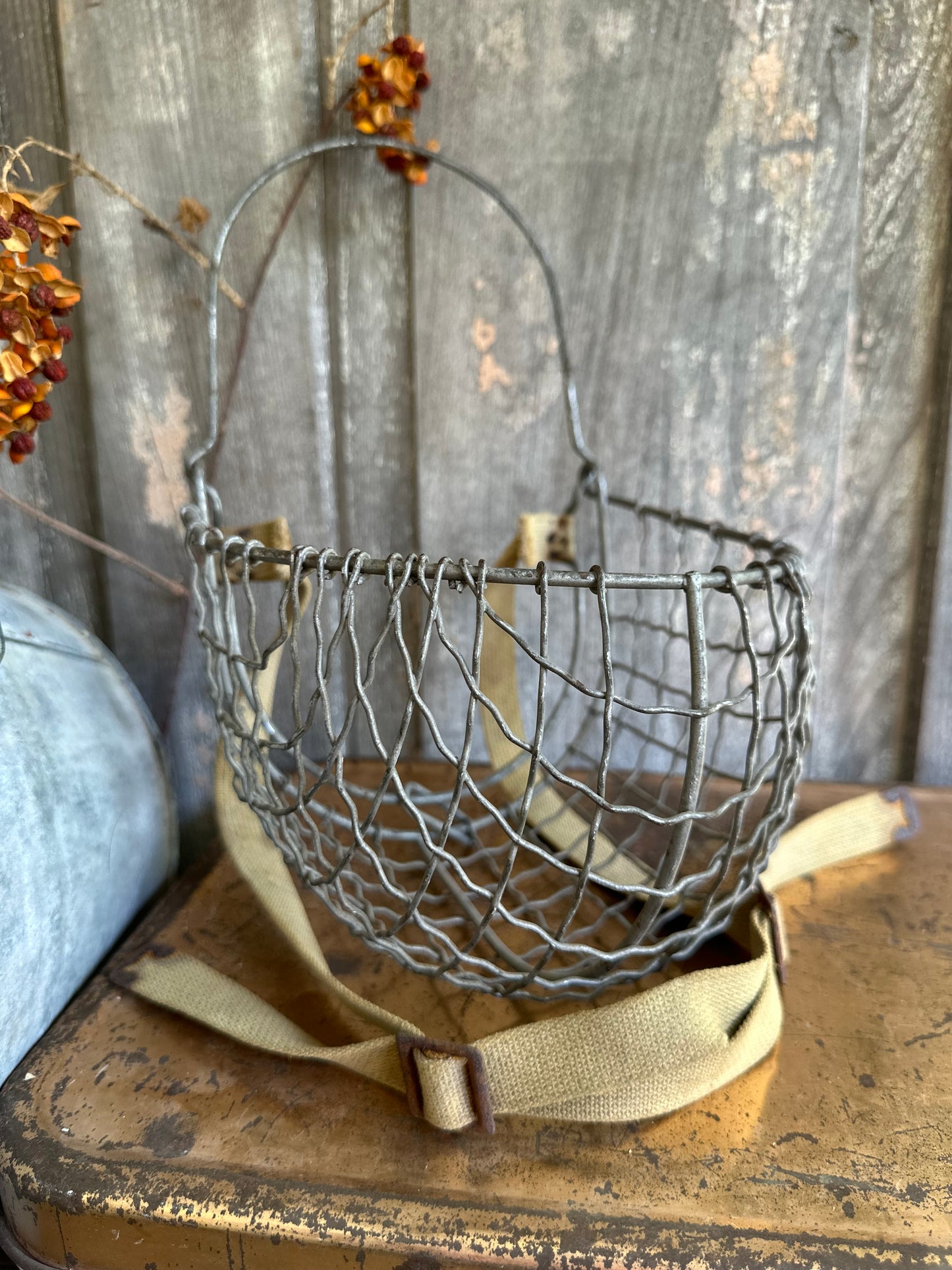 Metal Wire Muzzle With Strap