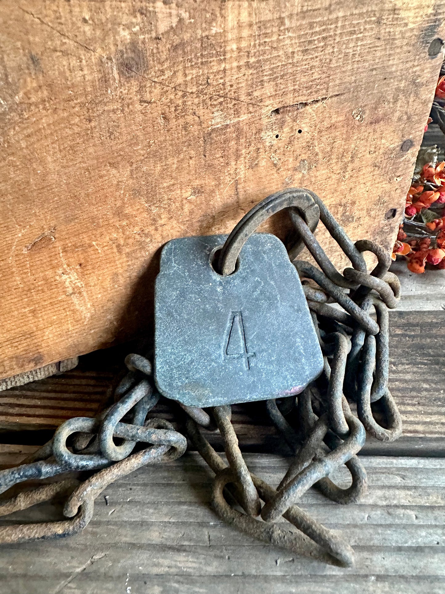 Cattle Tag With Rusty Chain #4