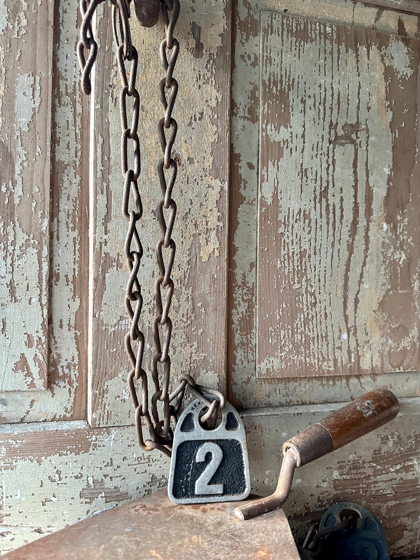 Cattle Tag With Chain #2