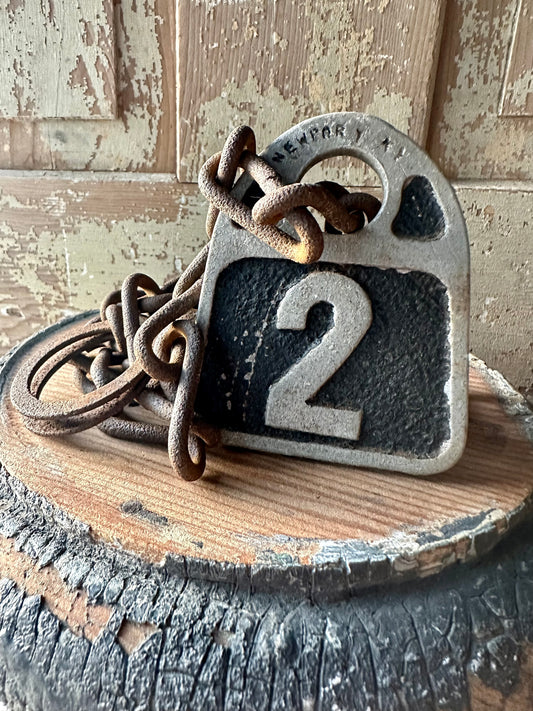 Cattle Tag With Chain #2