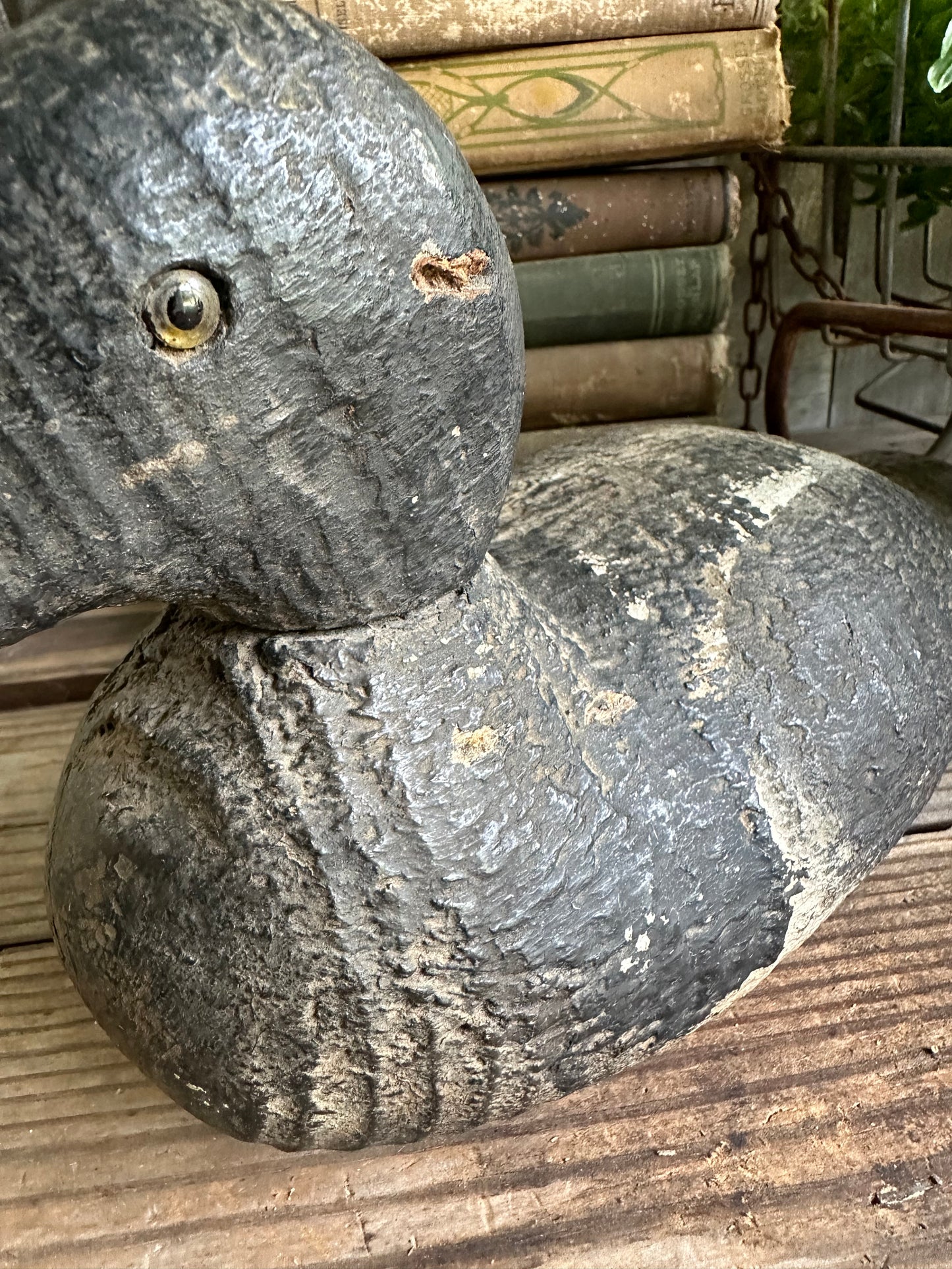 Duck Decoy
