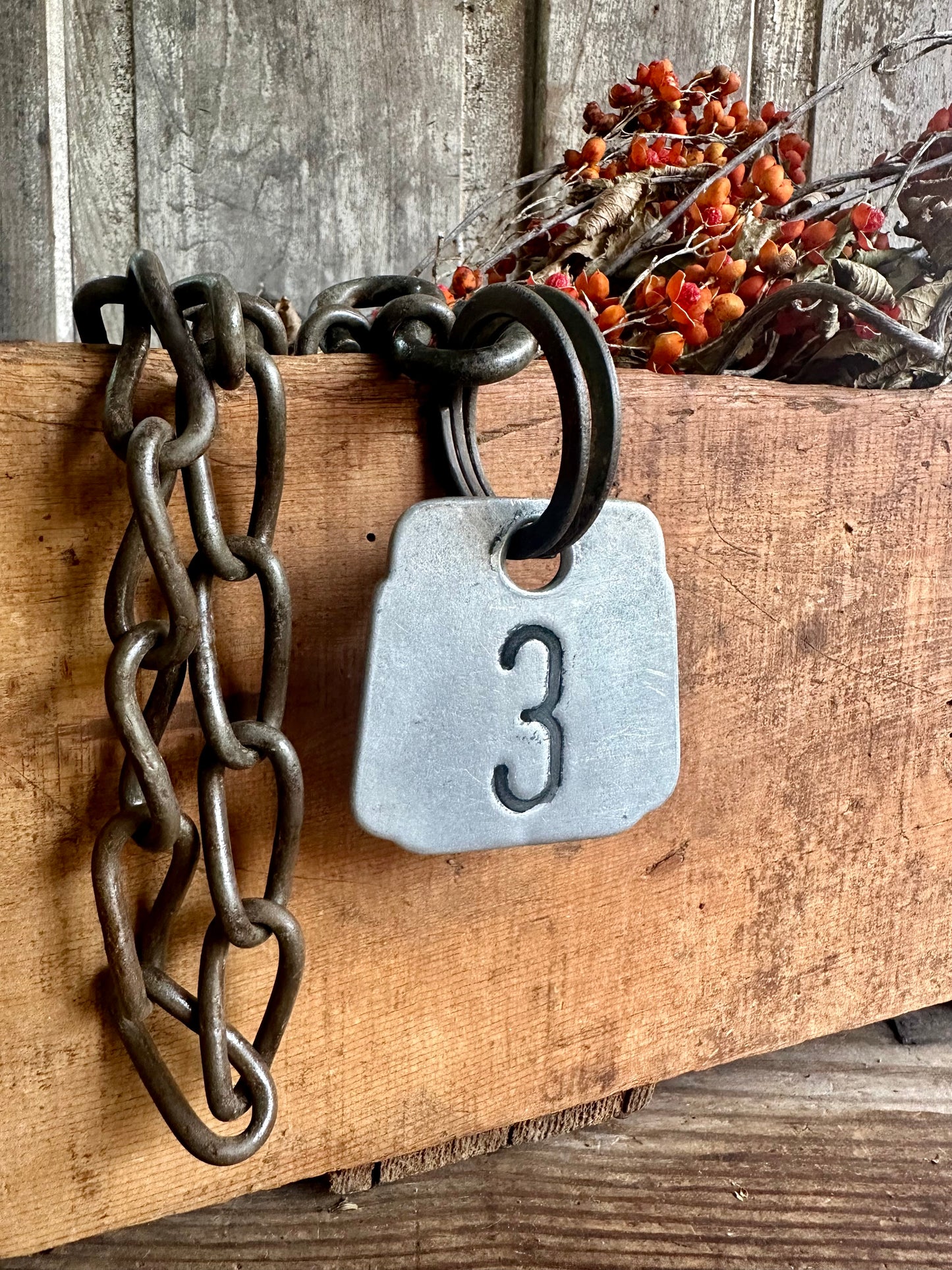 Cattle Tag With Rusty Metal Chain #3