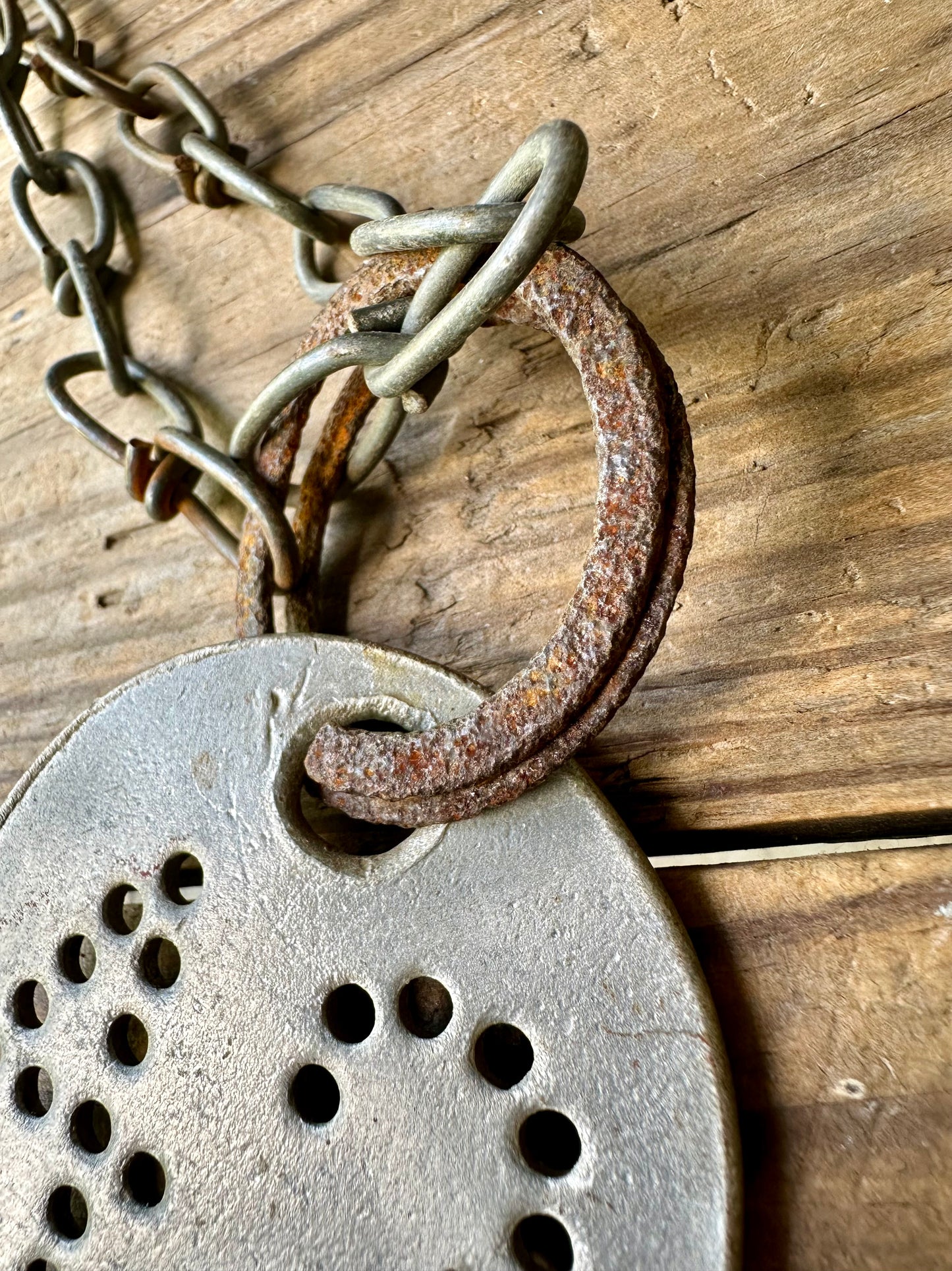 Cattle Tag With Rusty Metal Chain #42