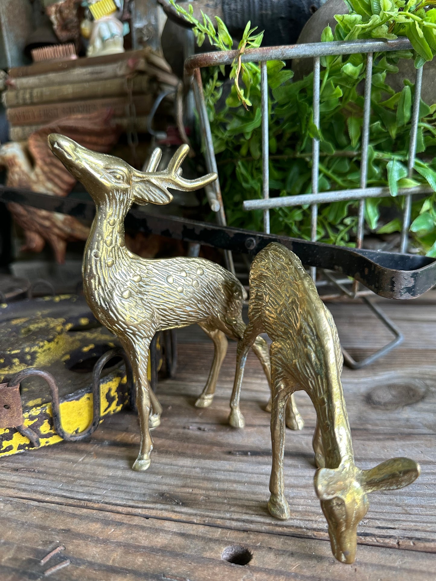 Brass Deer Set Of Two