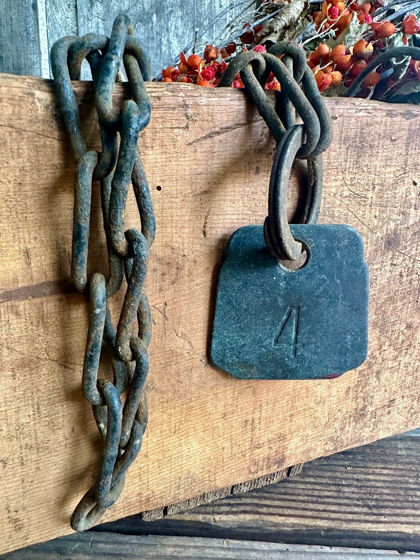 Cattle Tag With Rusty Chain #4