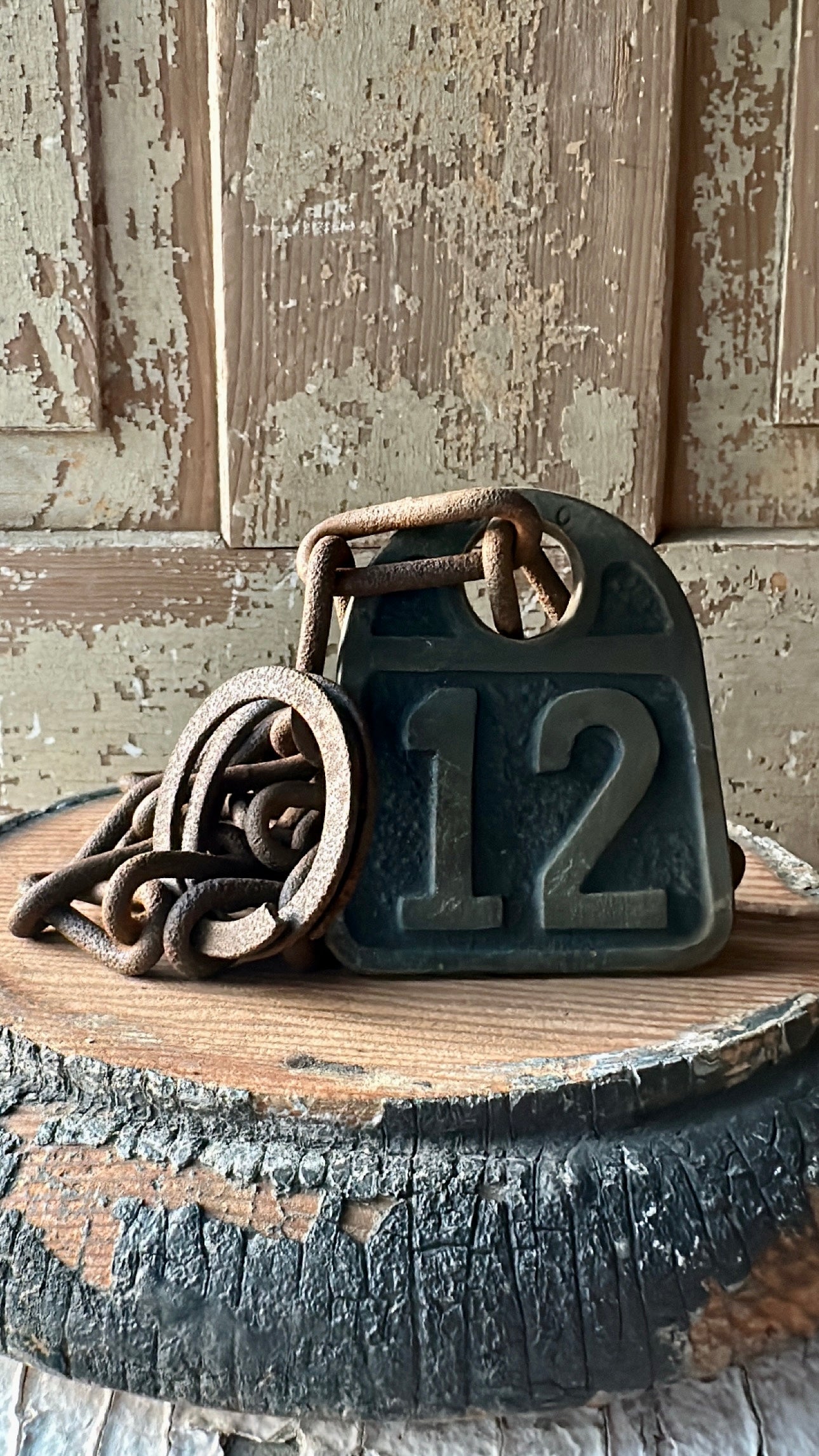 Cattle Tag With Chain #12