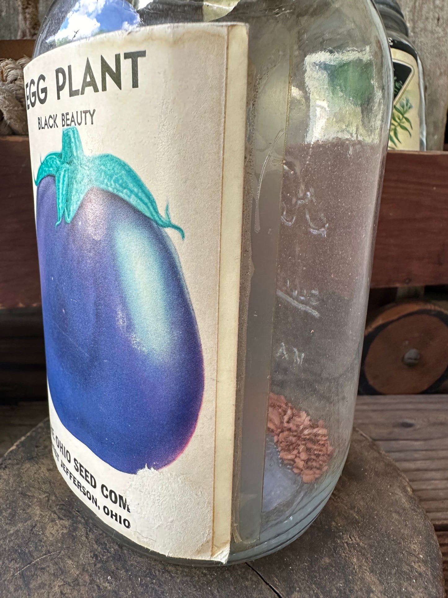 Egg Plant The Ohio Seed Co Jar