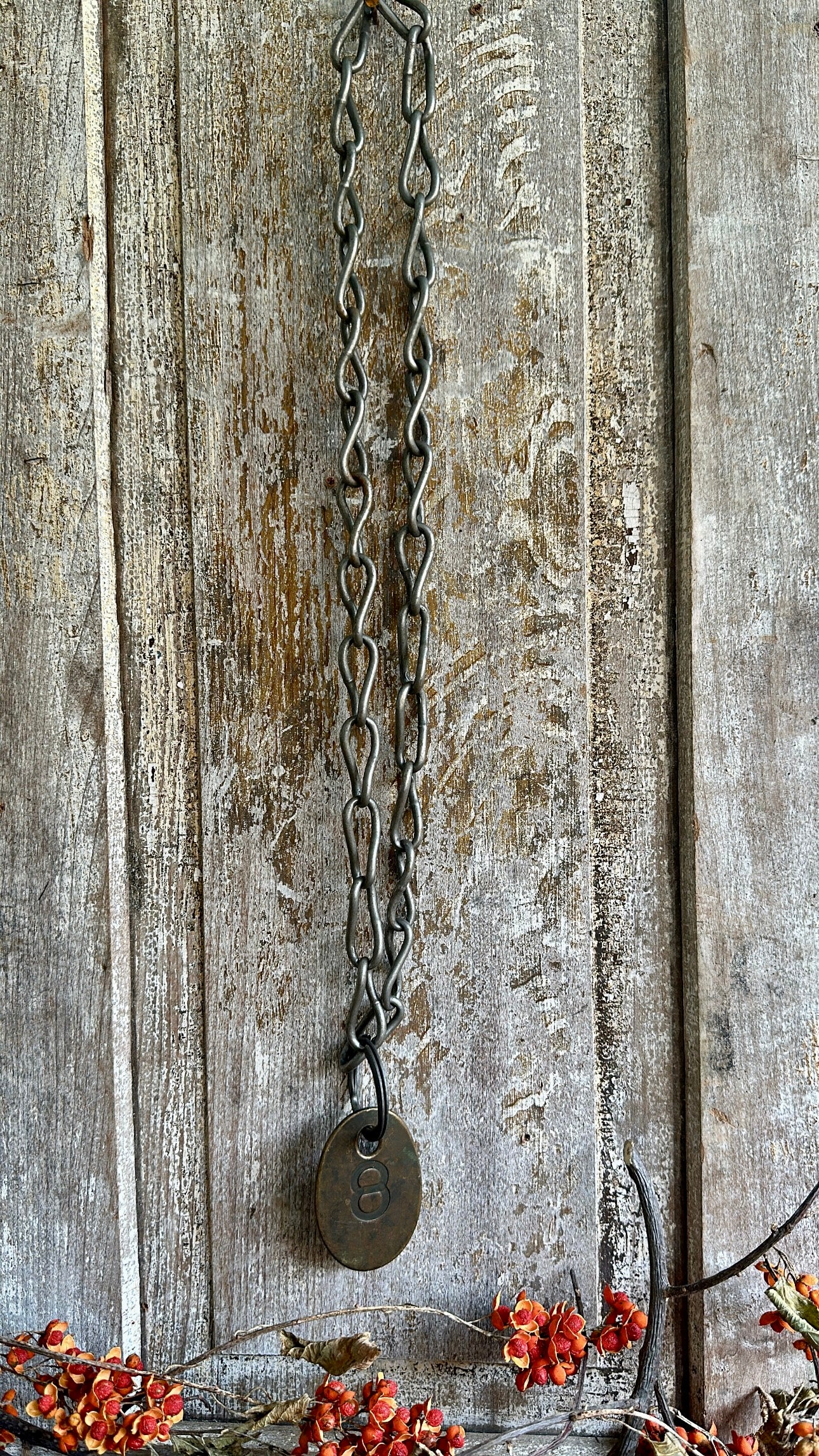 Cattle Brass Tag With Chain #8