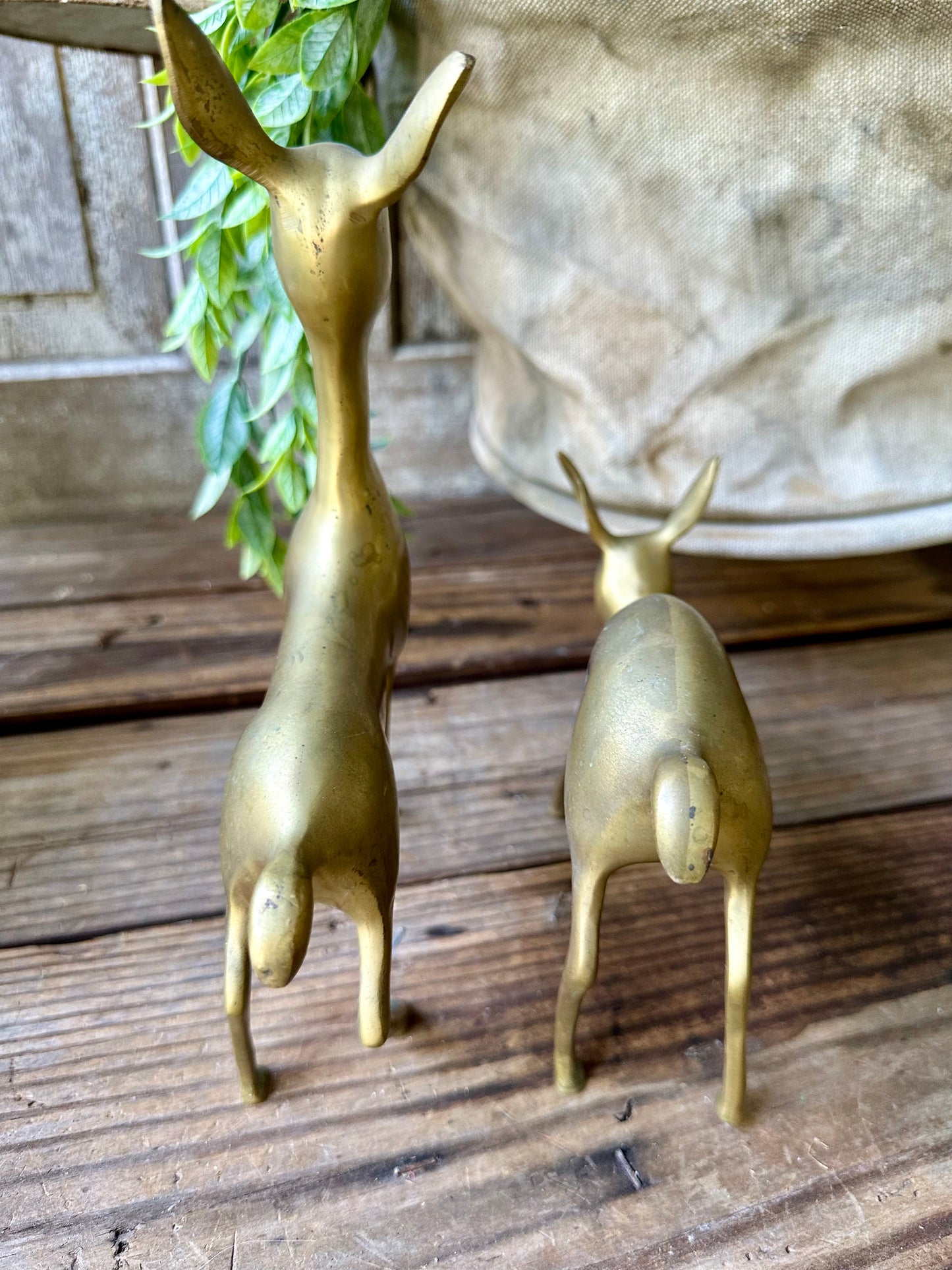 Brass Deer Set Of Two