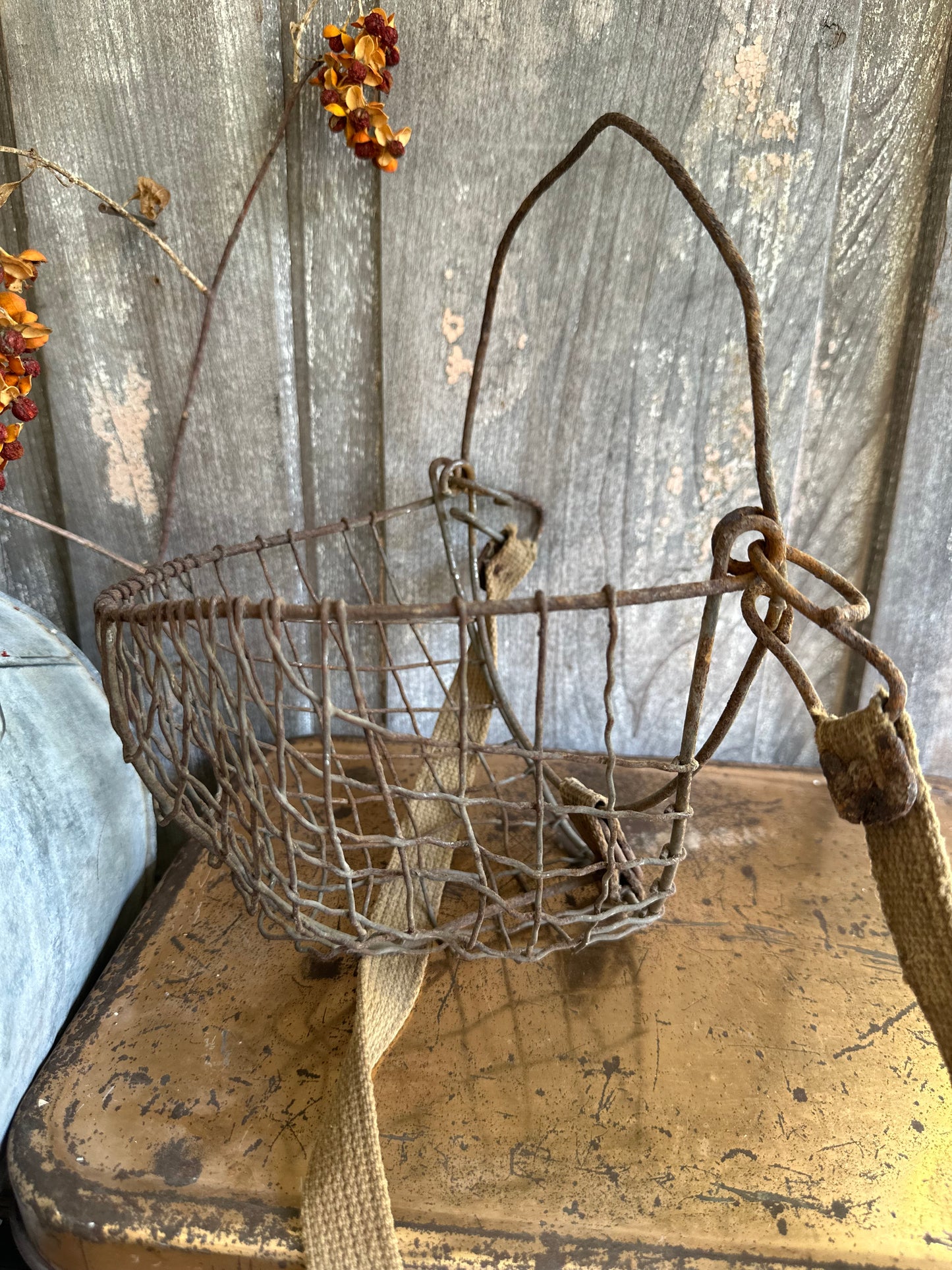 Rusty Metal Wire Muzzle With Strap