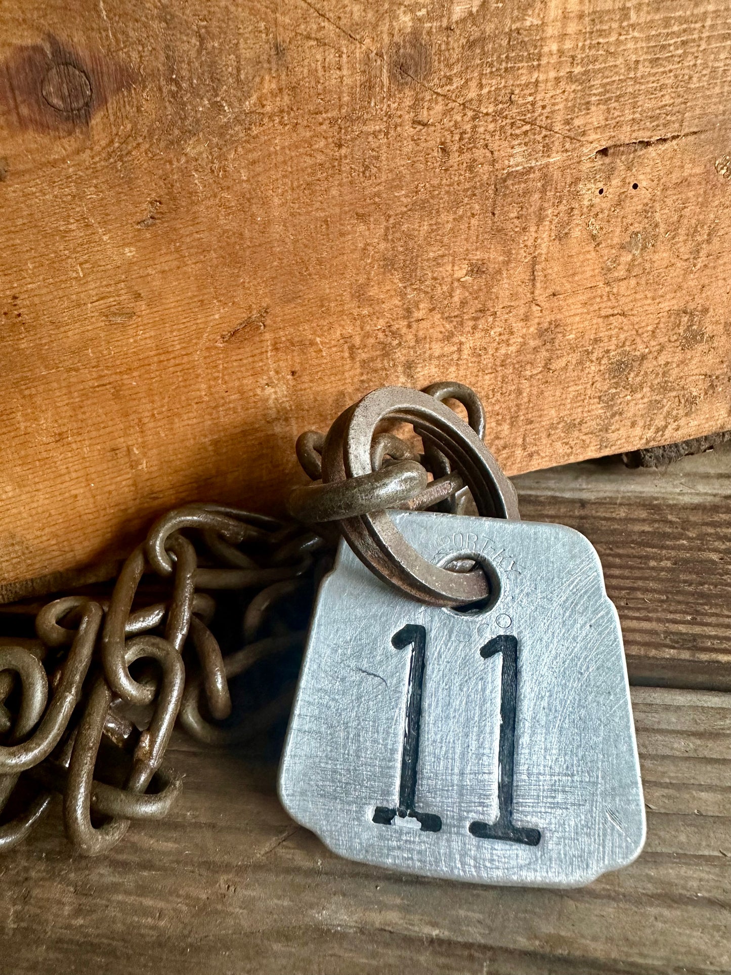 Cattle Tag With Chain #11