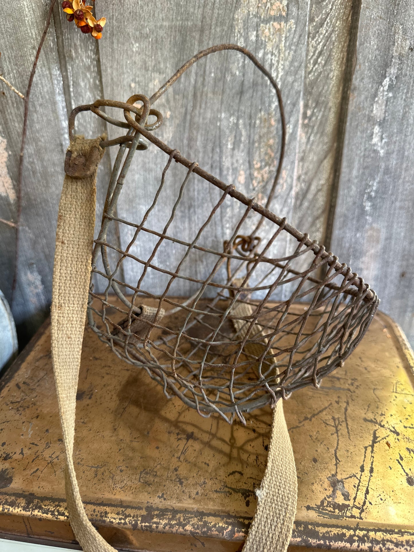 Rusty Metal Wire Muzzle With Strap