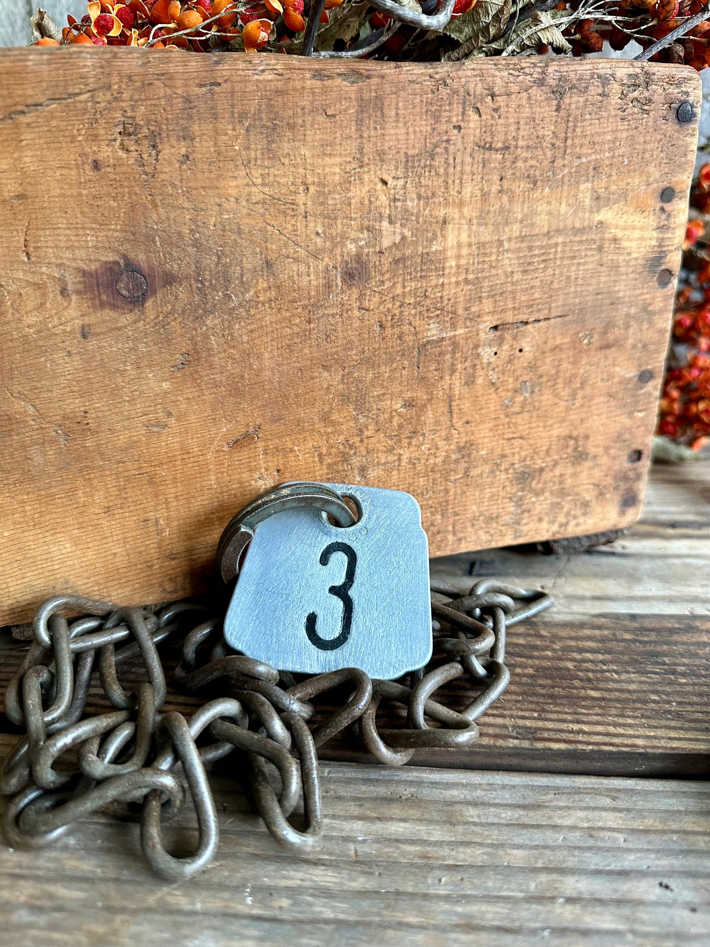 Cattle Tag With Rusty Metal Chain #3