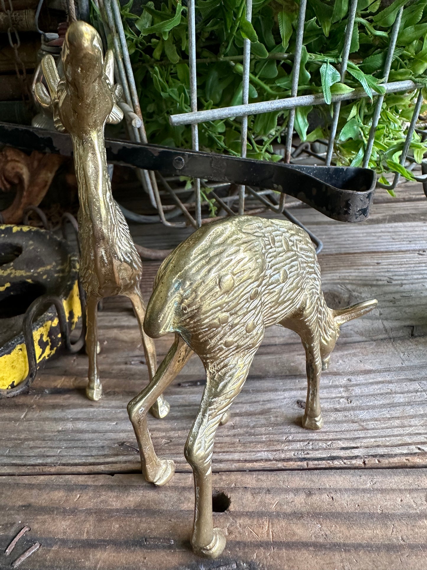 Brass Deer Set Of Two
