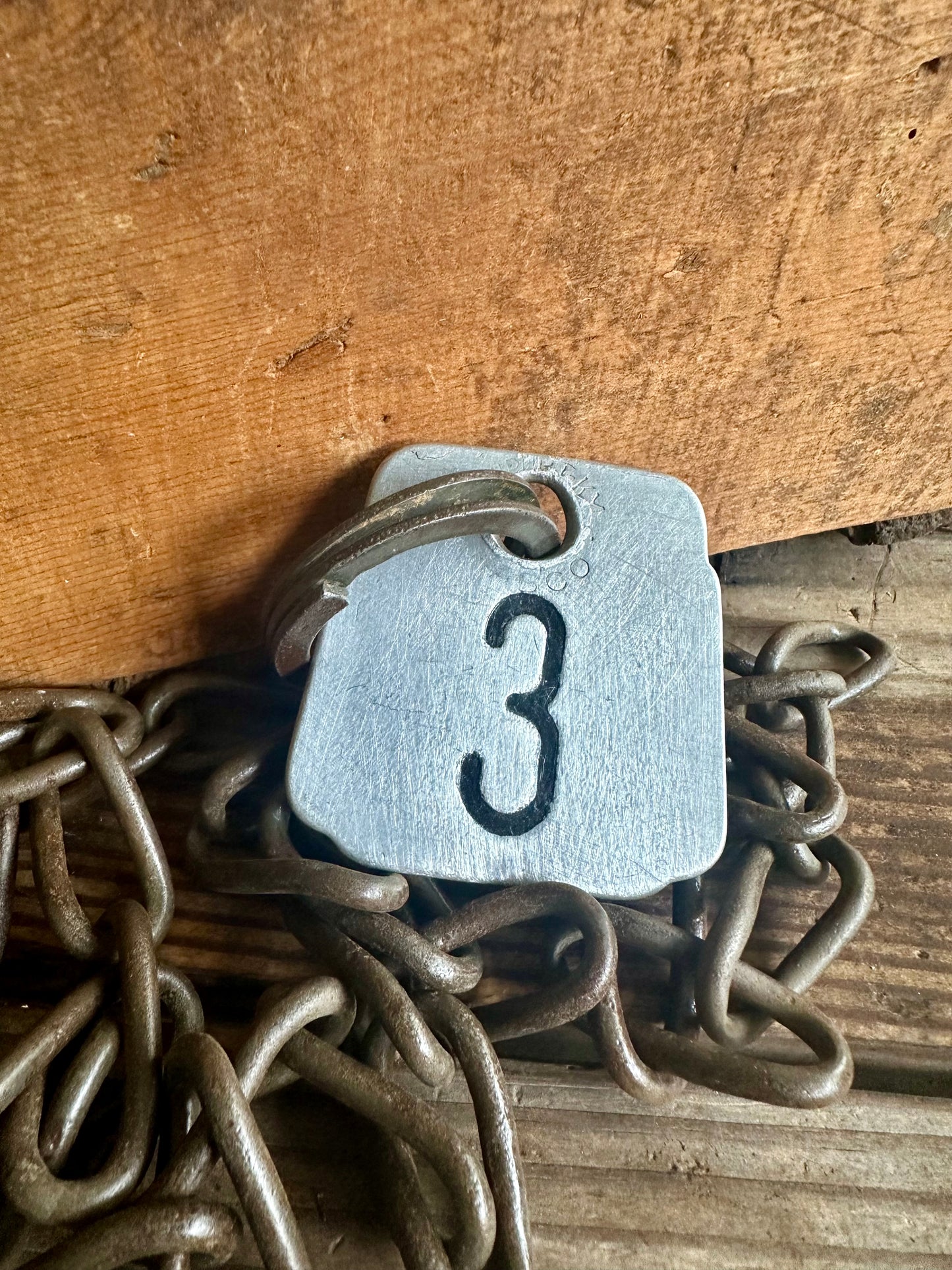 Cattle Tag With Rusty Metal Chain #3