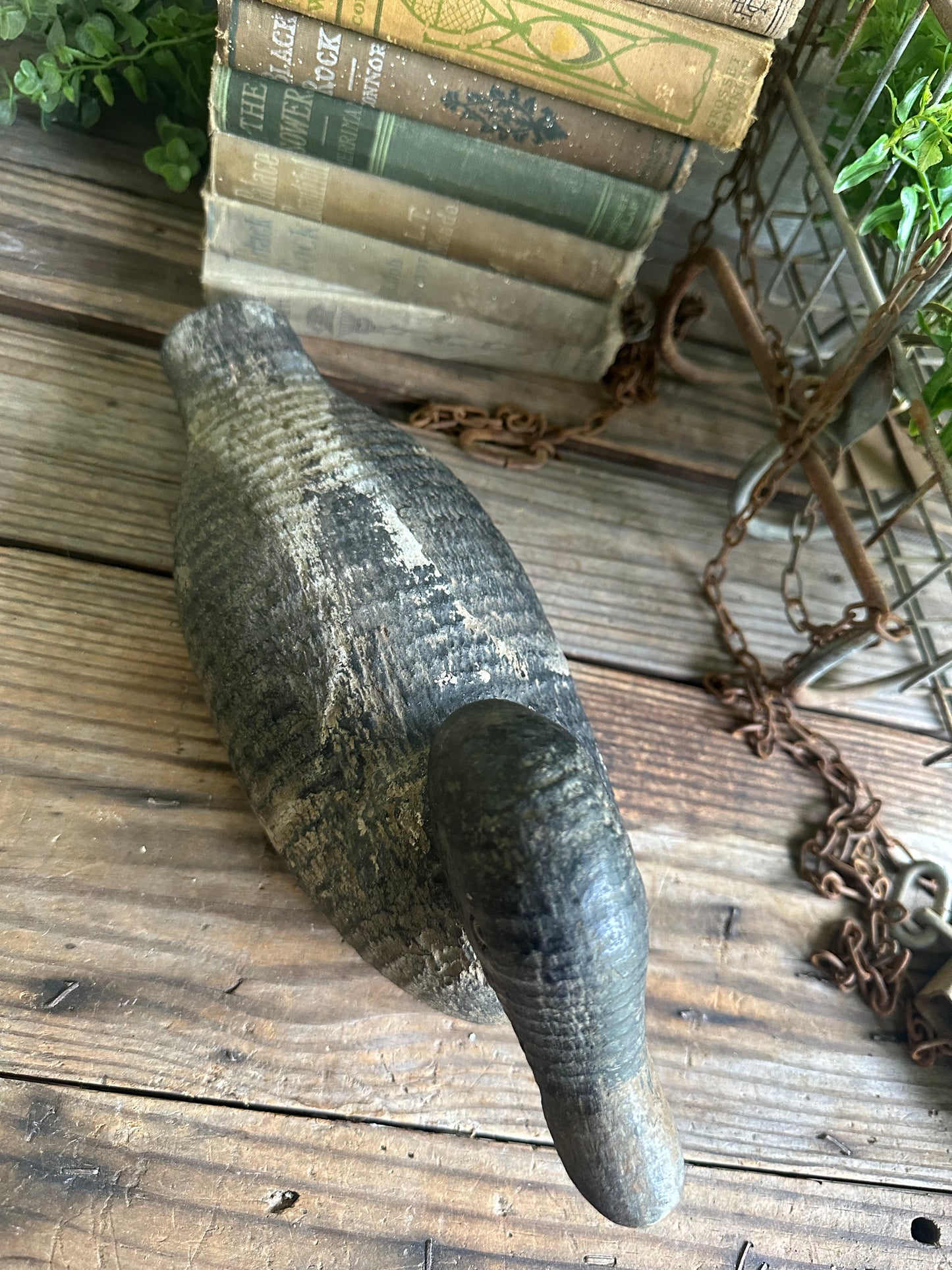 Duck Decoy