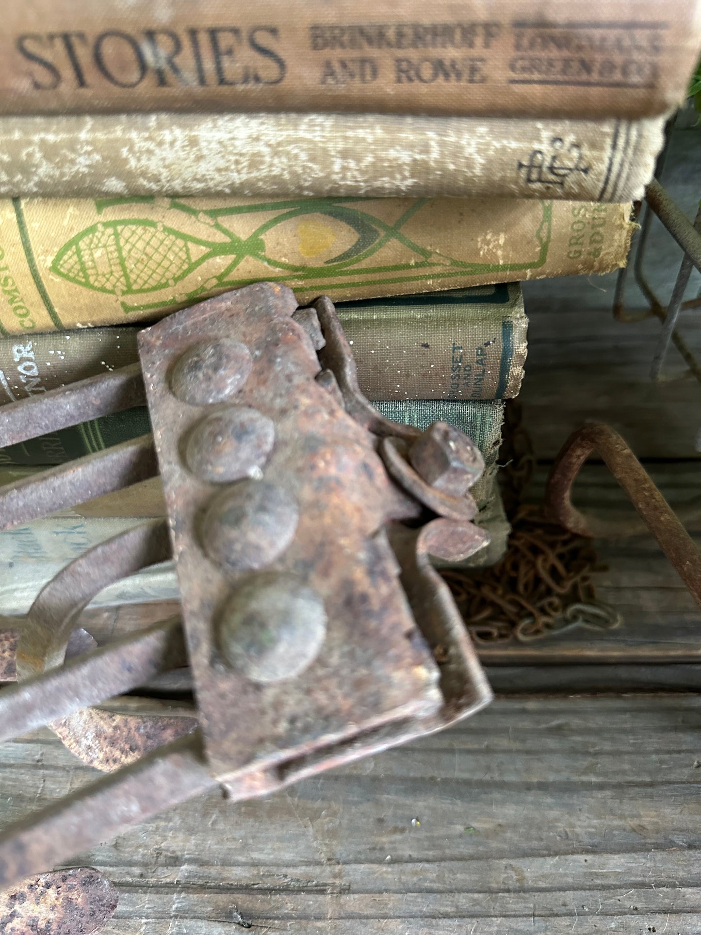 Plow Cultivator Head Rusty Metal